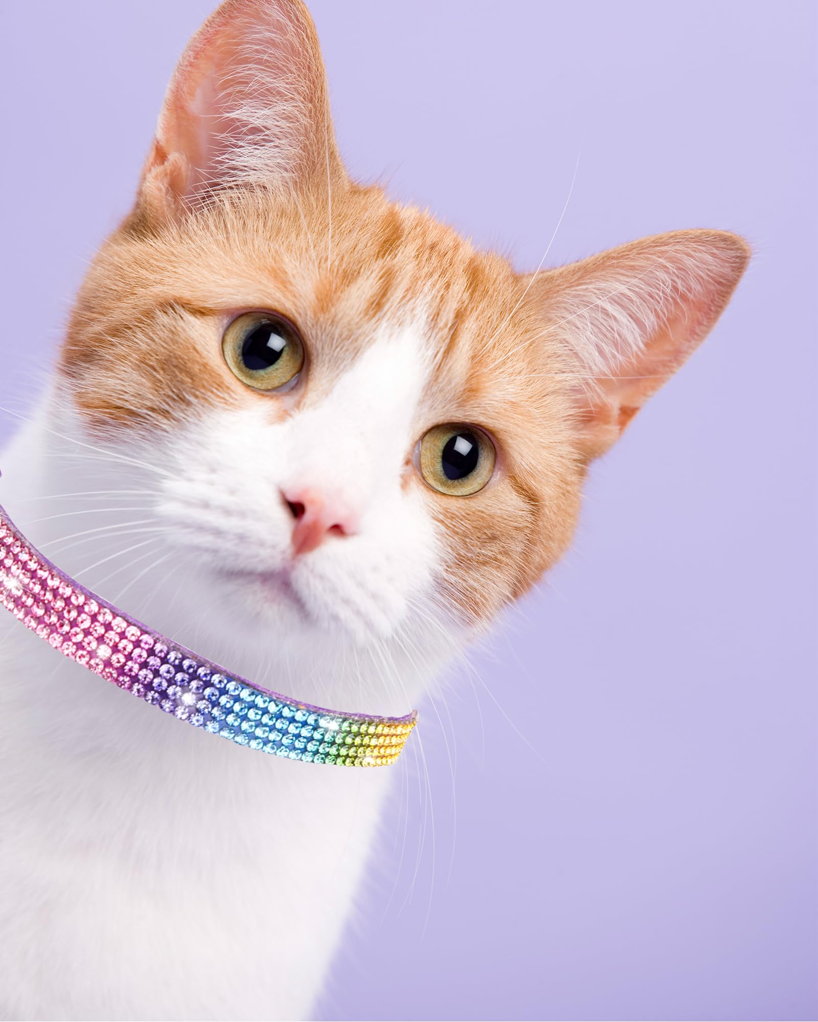 Aecllcea Cat Collars For Girl Cats With Rhinestone Soft Velvet,Breakaway Cat Collars With Bell,Adjustable Safe Kitten Collar (Mu