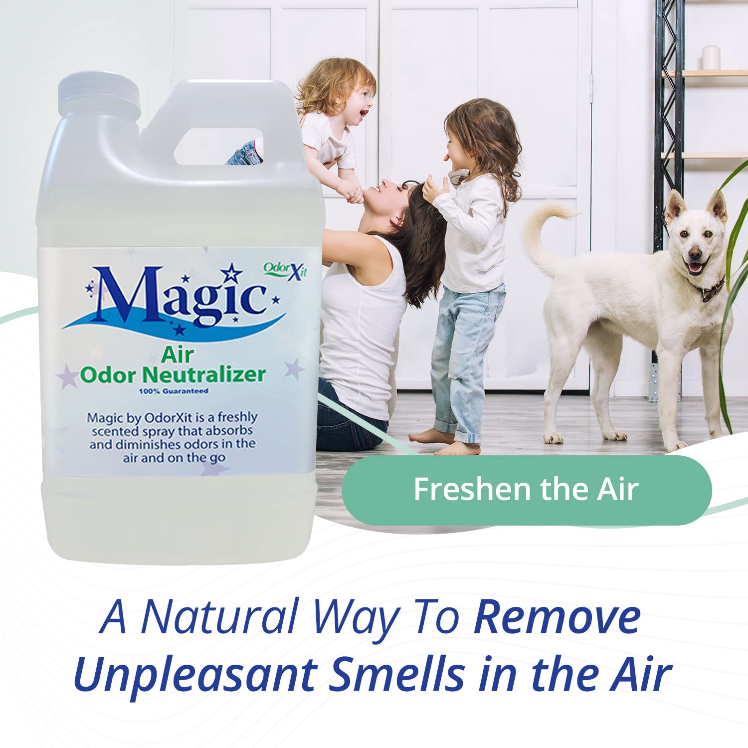 Odorxit Magic Air Odor Neutralizer Spray, Powerful Dog & Cat Urine Odor Neutralizer, Safe Air Refresher For Home, Safe Odor Abso
