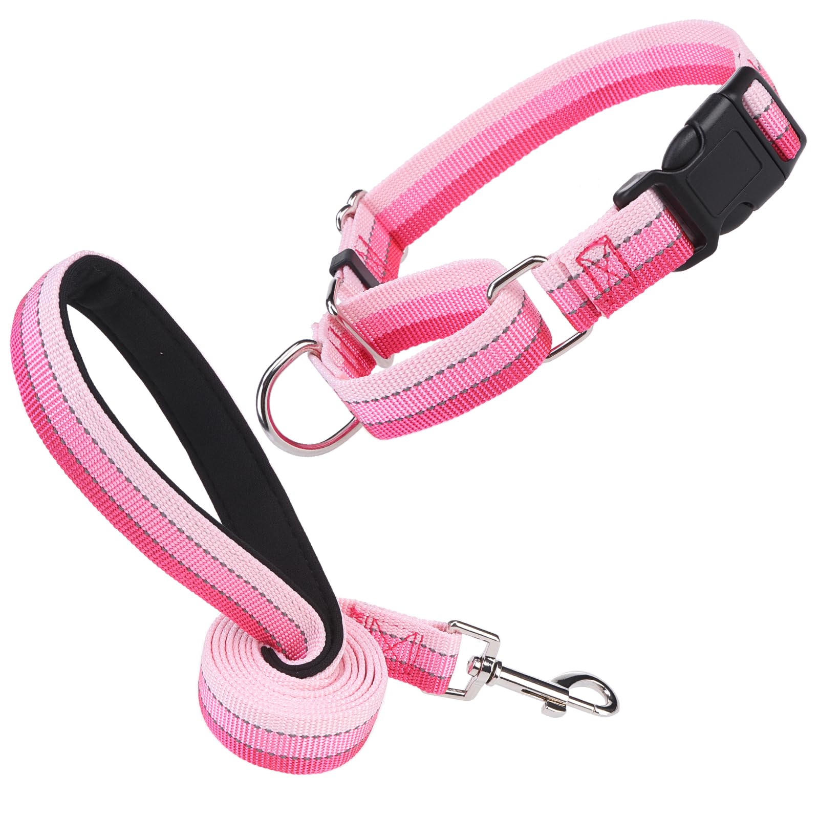 Esgpet Martingale Dog Collar And Leash Set For Walking, Playing, Training, Reflective Adjustable Puppy Collars With Leash For Sm