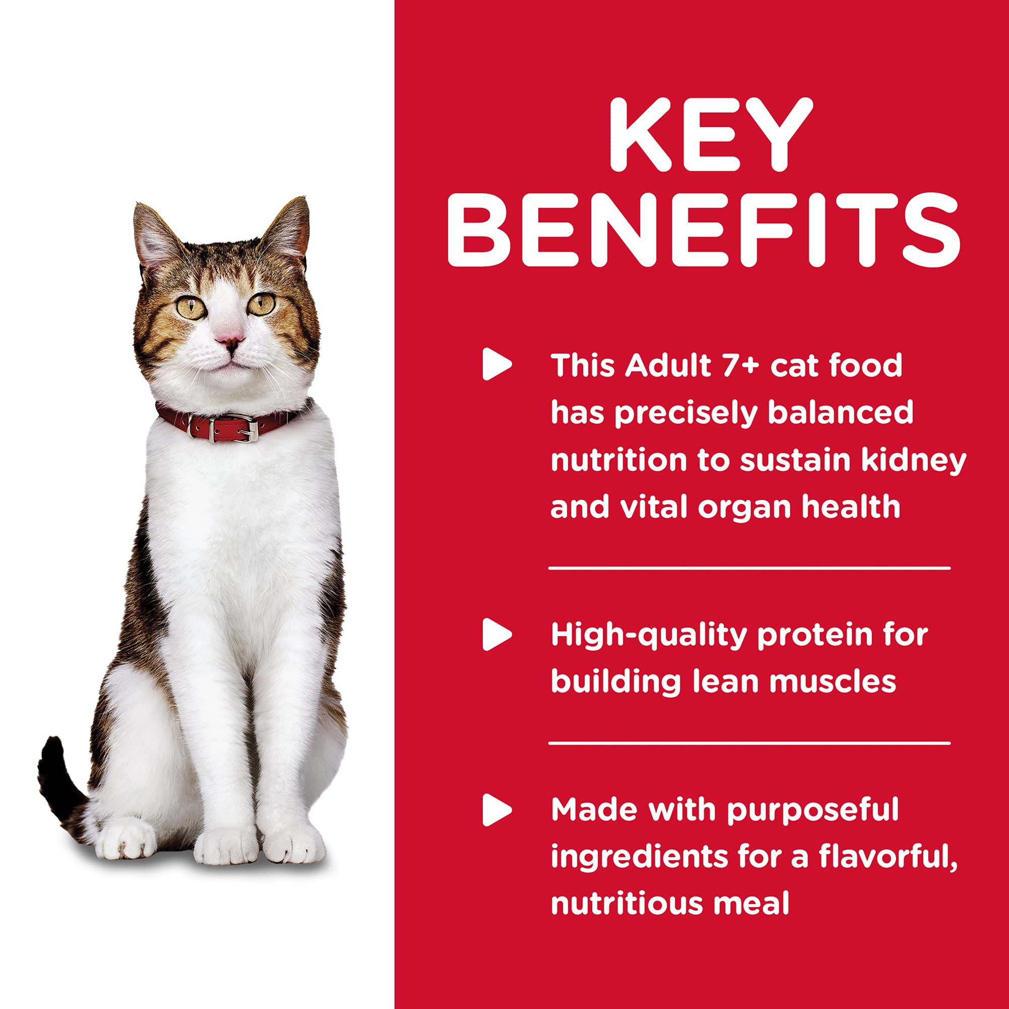 Hills Science Diet Adult 7+, Senior Adult 7+ Premium Nutrition, Wet Cat Food, Turkey Minced, 2.9 oz Can, Case of 24
