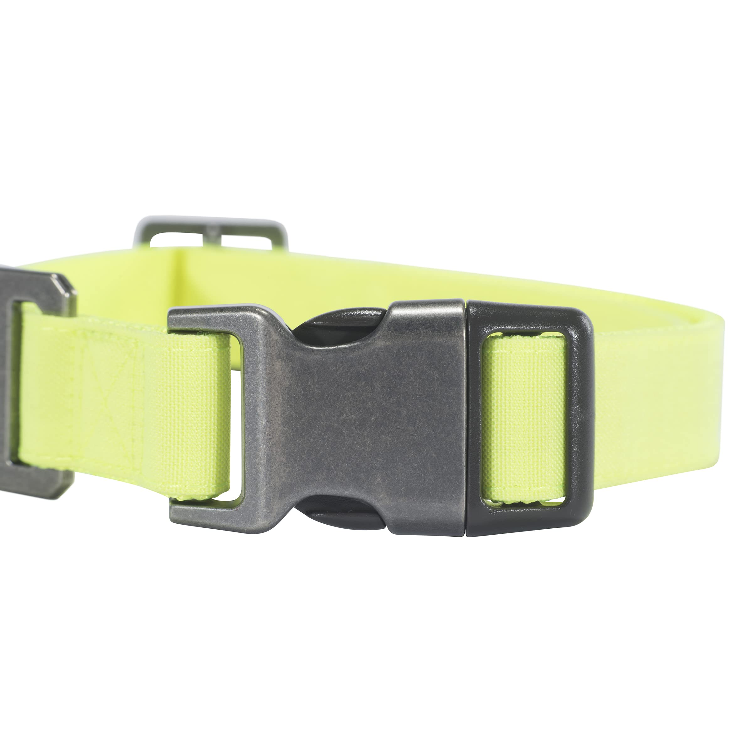 Carhartt Nylon Duck Dog Collar, Fully Adjustable Durable 2-Ply Cordura Nylon Canvas Collars For Dogs, Brite Lime, Medium