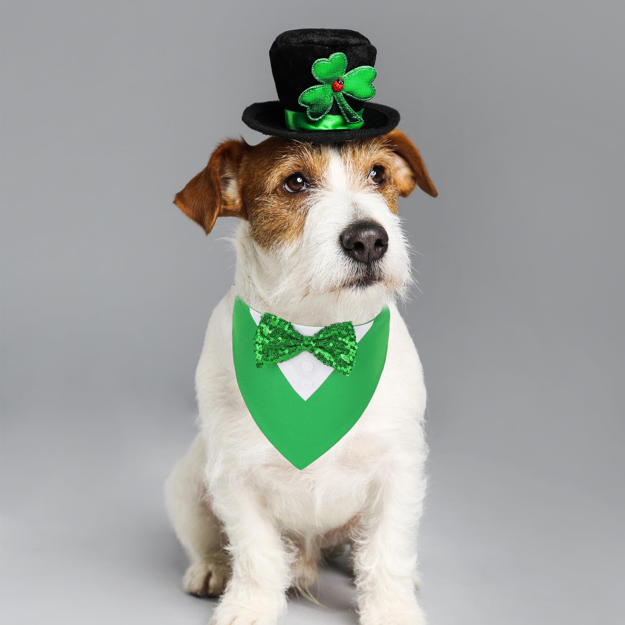Adoggygo St.Patrick'S Day Dog Tuxedo Bandana, Green Pet Tux Collar With Bowtie Adjustable St Patricks Costume For Small Dogs Pet