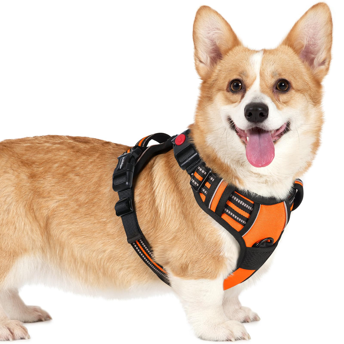 Rabbitgoo Dog Harness Small Sized, No Pull Pet Harness With 3 Buckles, Adjustable Soft Padded Pooch Vest With Instant Control Handle, Easy Walking Reflective Pet Vest For Small Dogs, Orange, S