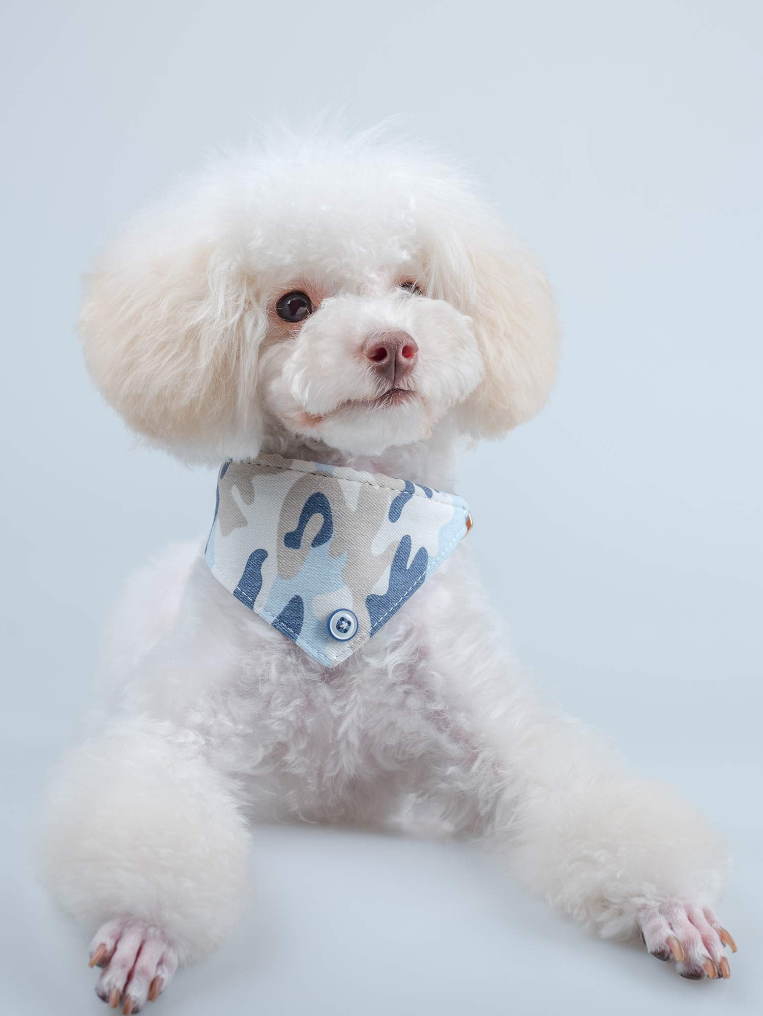 Gyapet Small Dog Collar For Dogs Cat Bow Tie Puppy Kitten Bandana 2Pcs Pu Leather Canvas Scarf Camo Camo-Blue