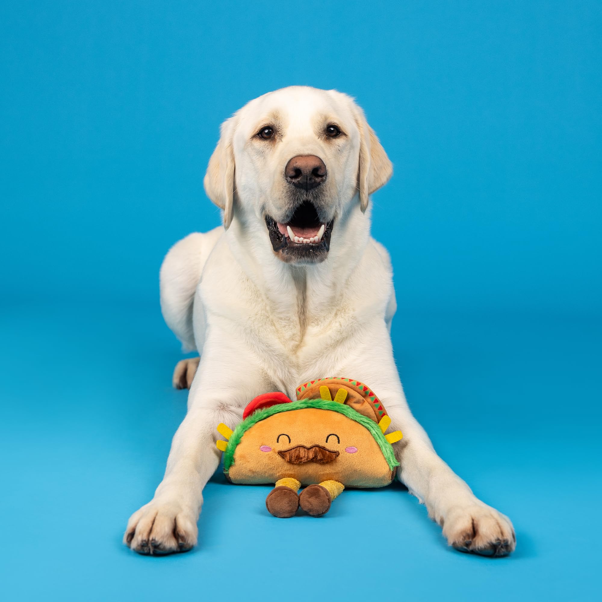 Fringe Studio Plush Dog Toy, Spicy Sidekick, Pet Shop Collection (314532)