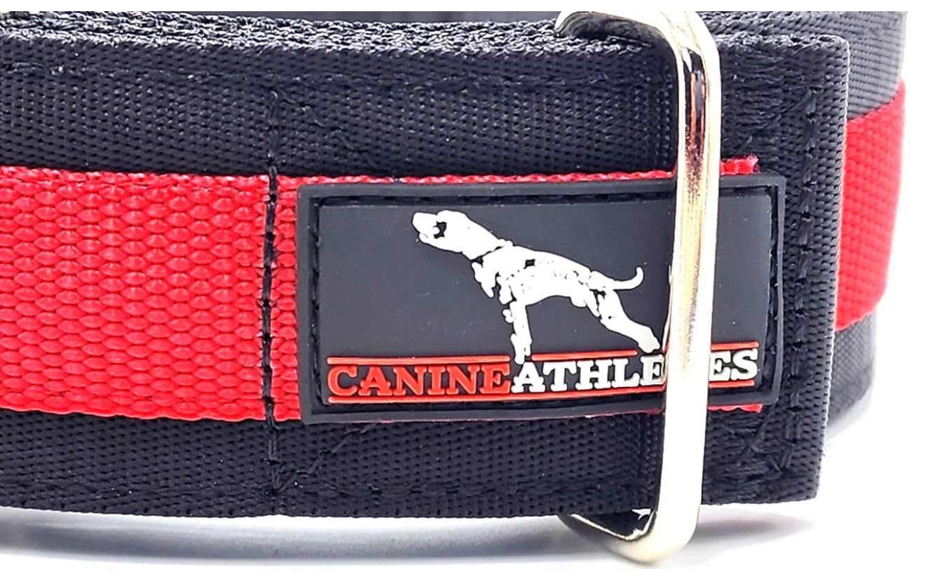 Canine Athletes 2' Wide Elite Max V2 Neoprene Padded Thick Working Dog Collar For Strong Dogs (Large)