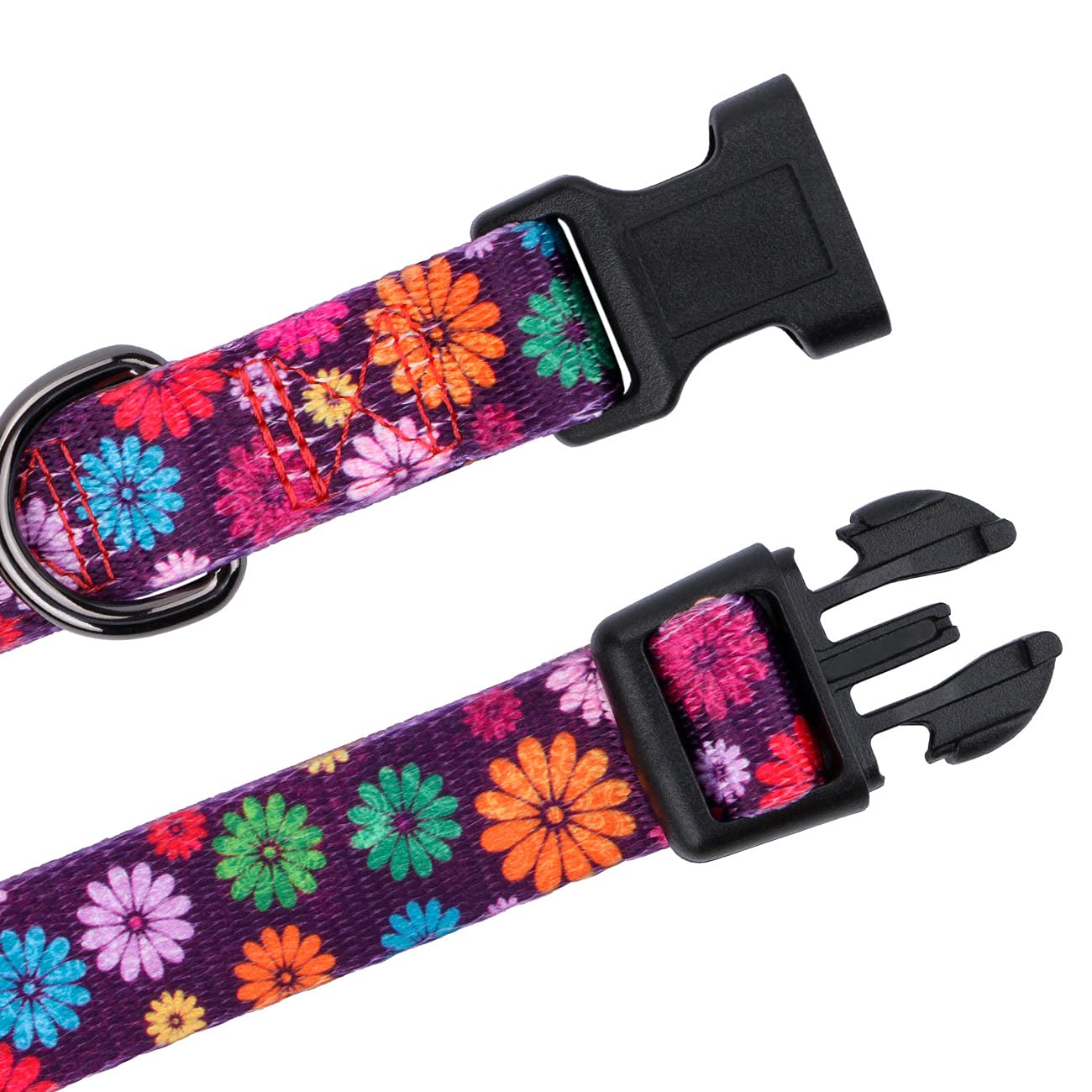 Rhea Rose Girl Dog Collars Fall Daisy Pattern, Colorful Flowers Print, Female Collar, Dark Purple, Large