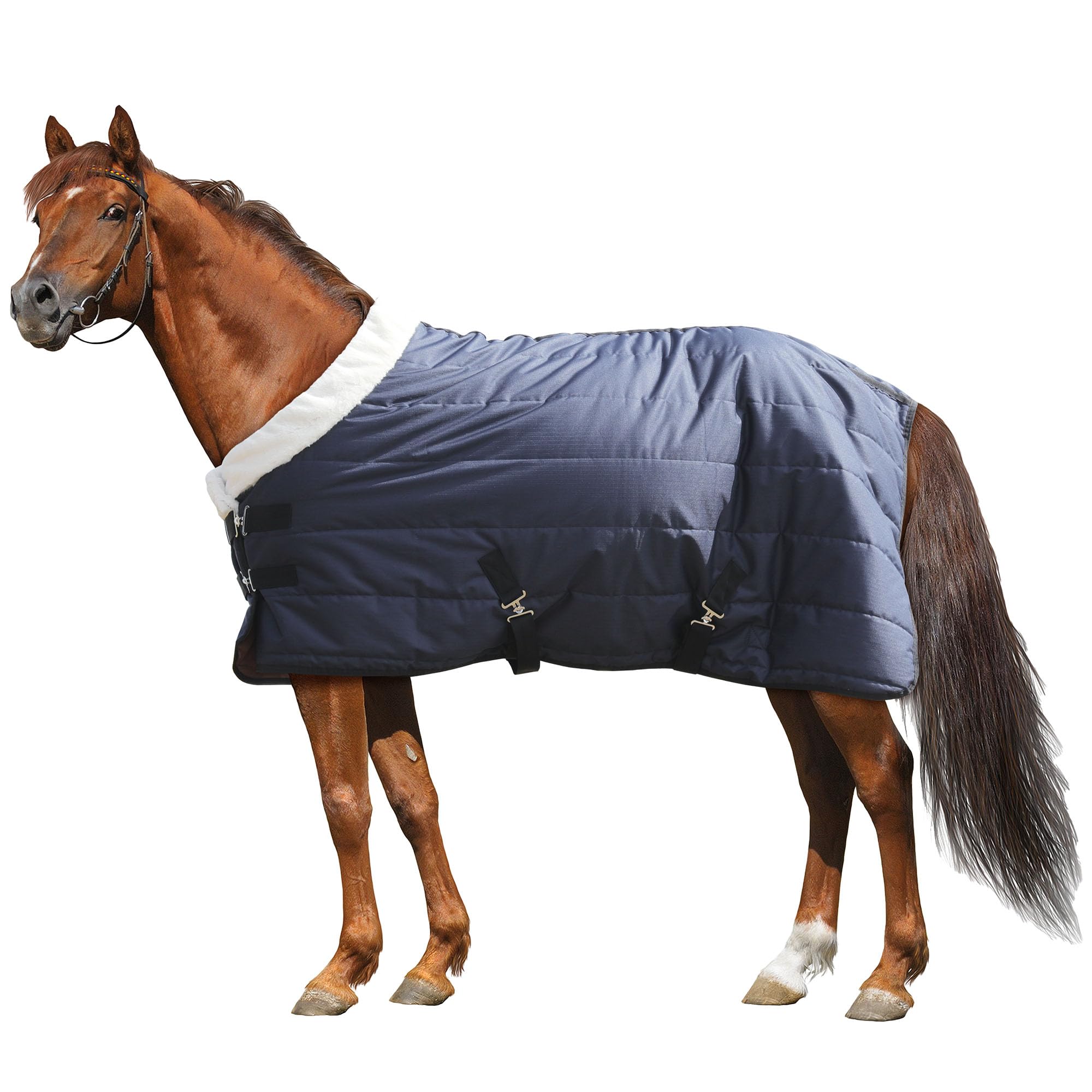 Hombys Heavy Duty Winter Horse Blanket - Waterproof, Super Warm With Flannel Backing - Navy Blue, 75 X 60 600D High Density 