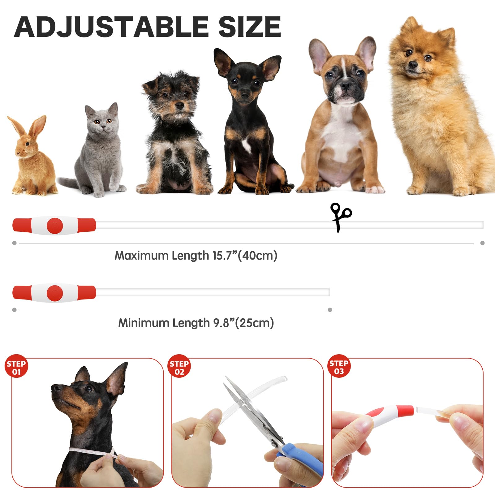 Bseen Light Up Dog Collar - Rainproof Led Dog Collar Rechargeable - Tpu Cuttable Glowing Puppy Collar For Small Dogs& Cats, High