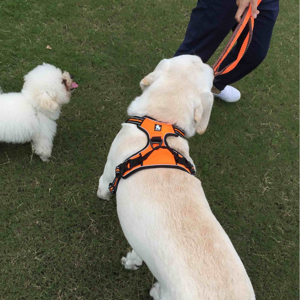 Sgoda Reflective Dog Harness, Dog Vest Harness, No Pull Pet Harness With Handle, Small, Orange