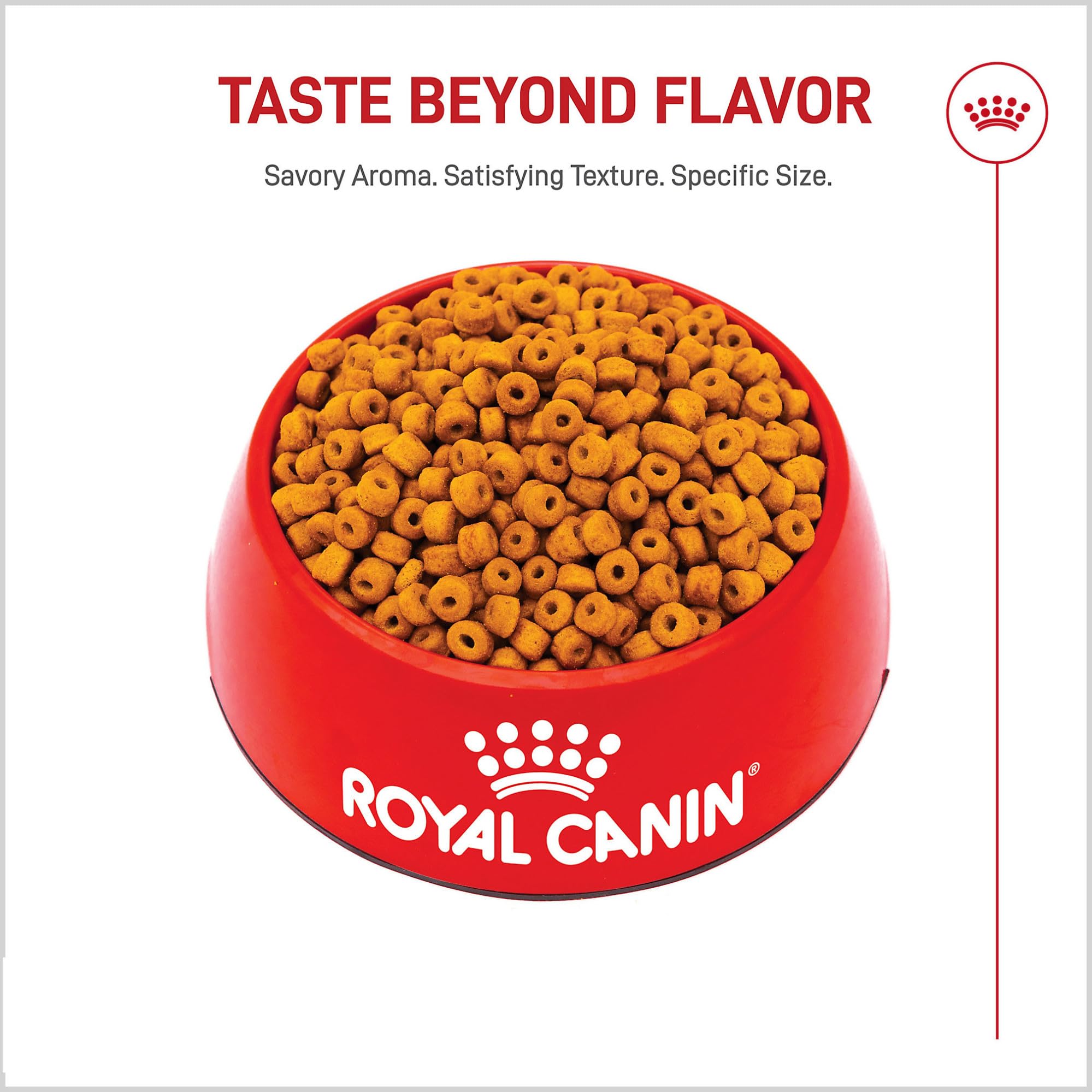 Royal Canin Breed Health Nutrition Labrador Retriever Puppy Dry Dog Food, 30 lb.