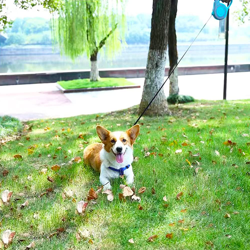 Retractable Dog Leash Lightweight 10/16FT Leash with Non-Slip Handle, for Small Medium Dogs (Gray Pink, 16 FT)