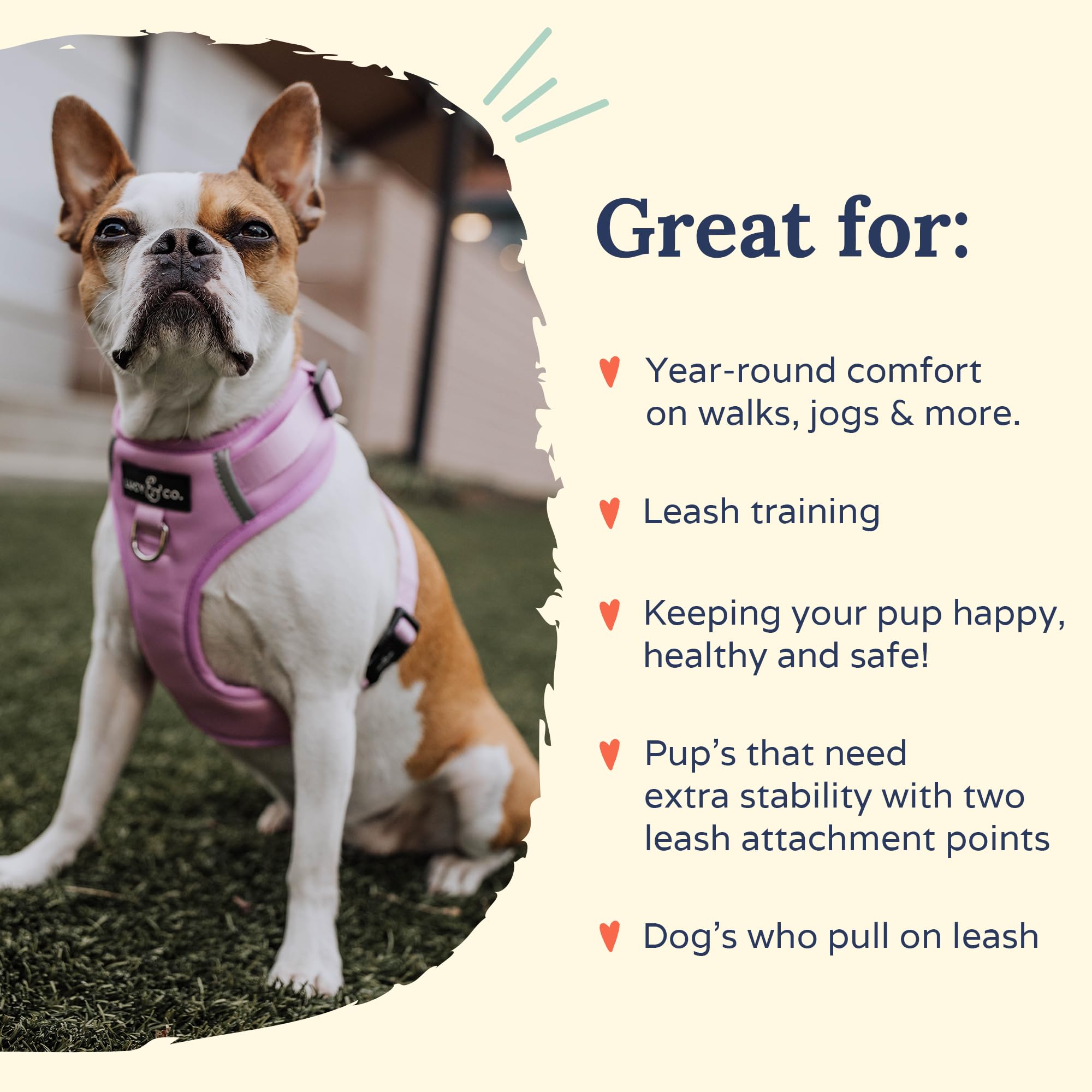 Lucy & Co. The Bouquet No-Pull Dog Harness - Size Medium - Vest to Stop Pulling & Walk Easy - Comfortable Leash Training Product