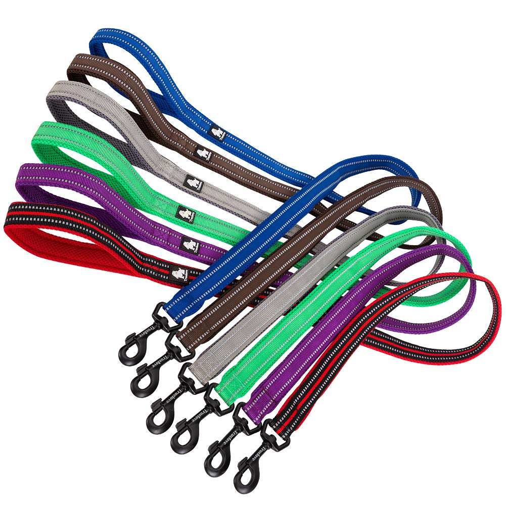 Juxzh Reflective Dog Leash .Pet Leash For Medium To Large Dogs Outdoor Adventure And Training Royal Blue