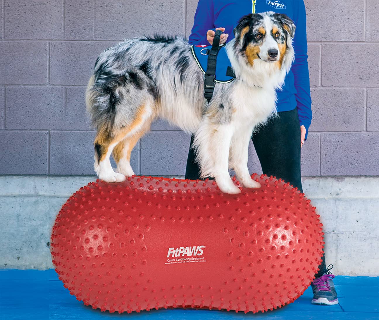 Fitpaws® Trax™ Balance Peanut – 50Cm/20” | Dog Exercise Equipment For Fitness & Rehabilitation | Workout Tool For Strength, Core & Stability