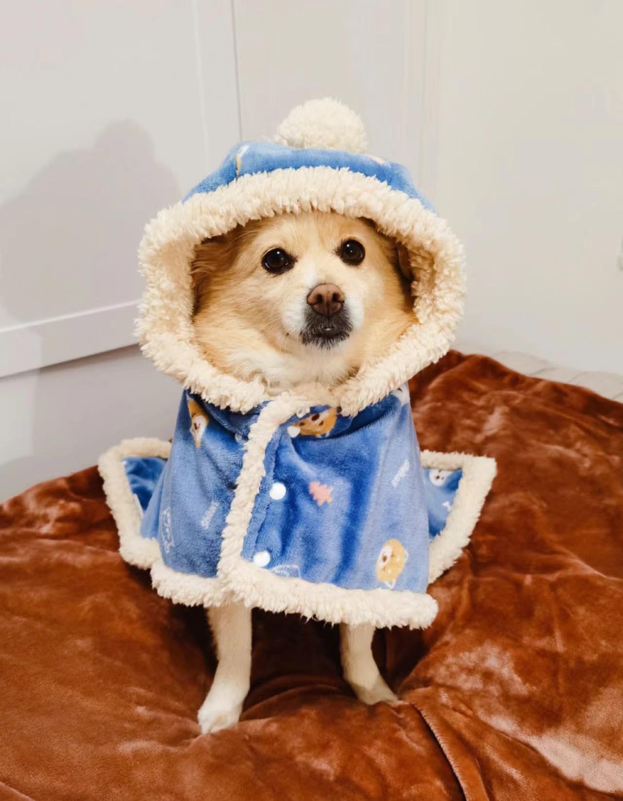 Fulvara Dog Clothes Fleece Winter Coat Warm Soft Dog Vest For Cold Weather,Flannel Blanket Throw Multi-Use Pet Apparel For Small Medium Dogs & Cats(S Blue)