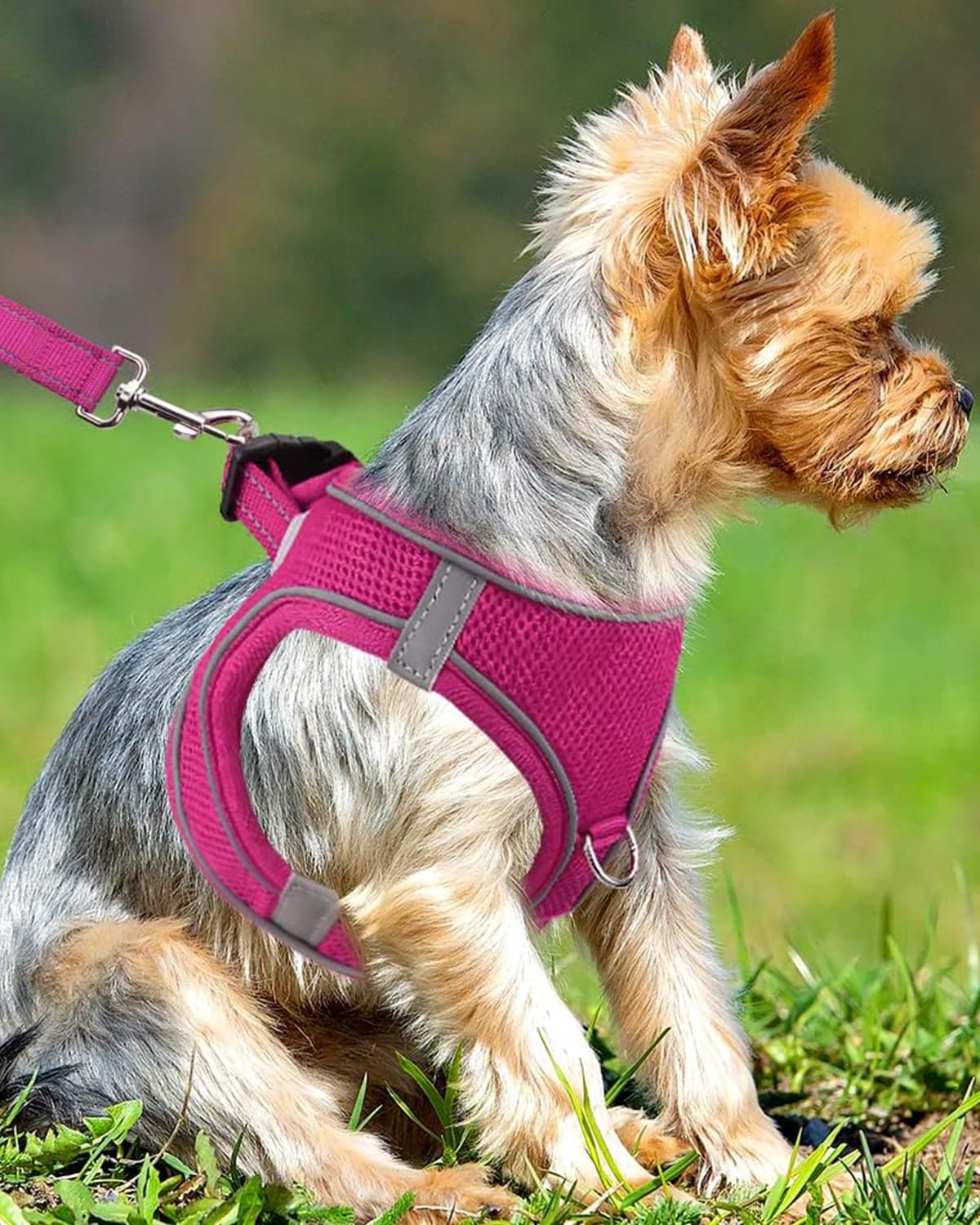Joytale Small Dog Harness, Breathable Mesh Step-In Vest, Reflective Soft Padded Harnesses Small Sized Dog For Walking, Hot Pink,