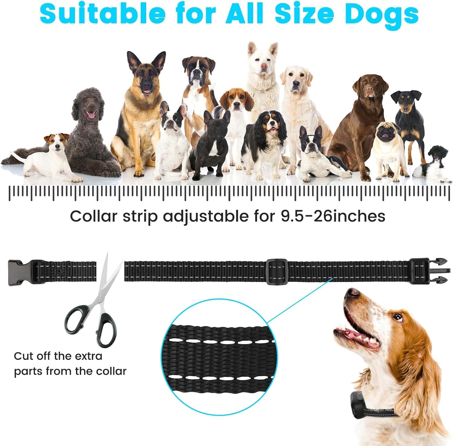 RUXAN Underground Dog Electric Fence for Dogs, Electric In Ground Dog Fence Containment System Aboveground Pet Containment Syste