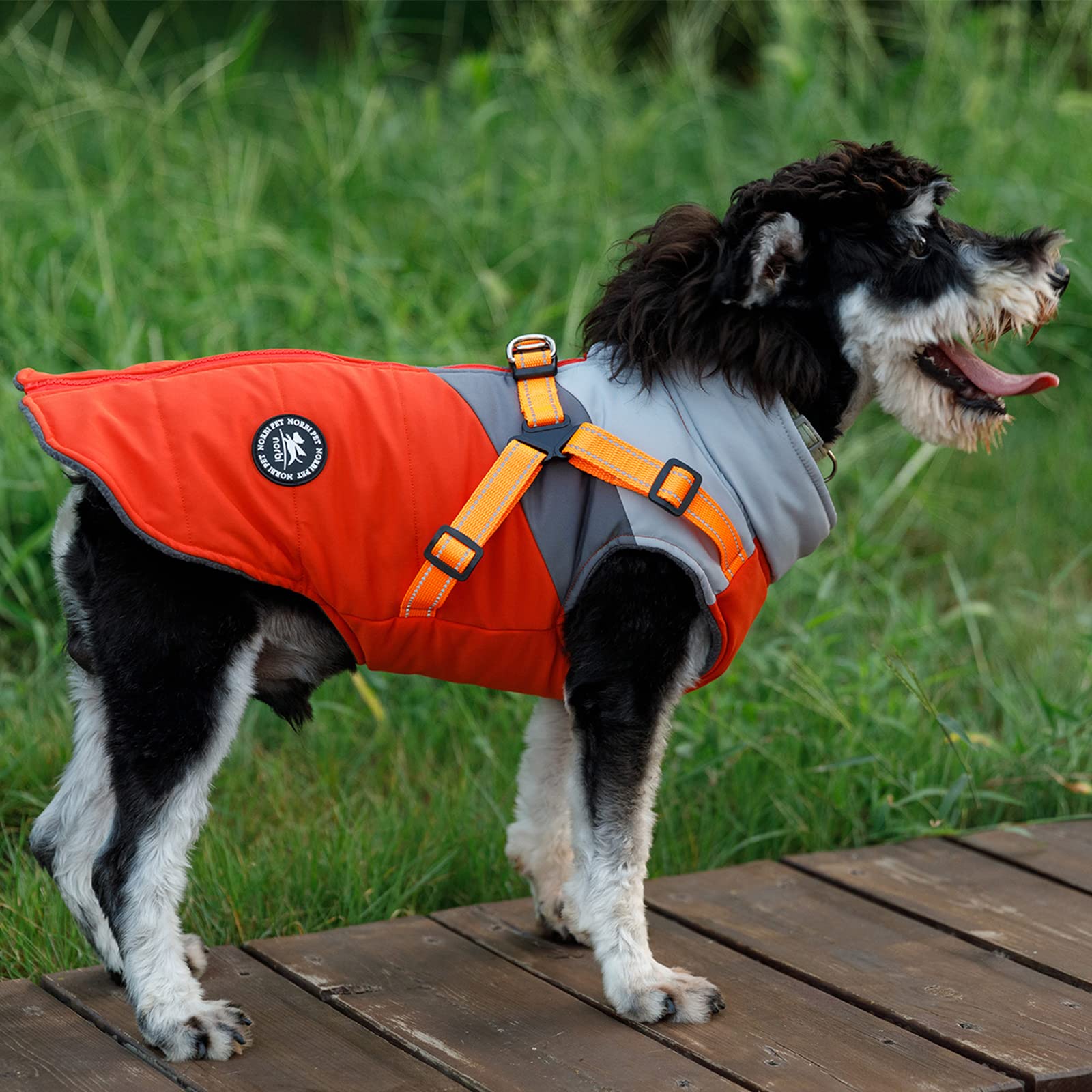 Norbi Pet Warm Jacket Small Dog Vest Harness Puppy Winter 2 In 1 Outfit Cold Weather Coat (Medium, Orange-A)