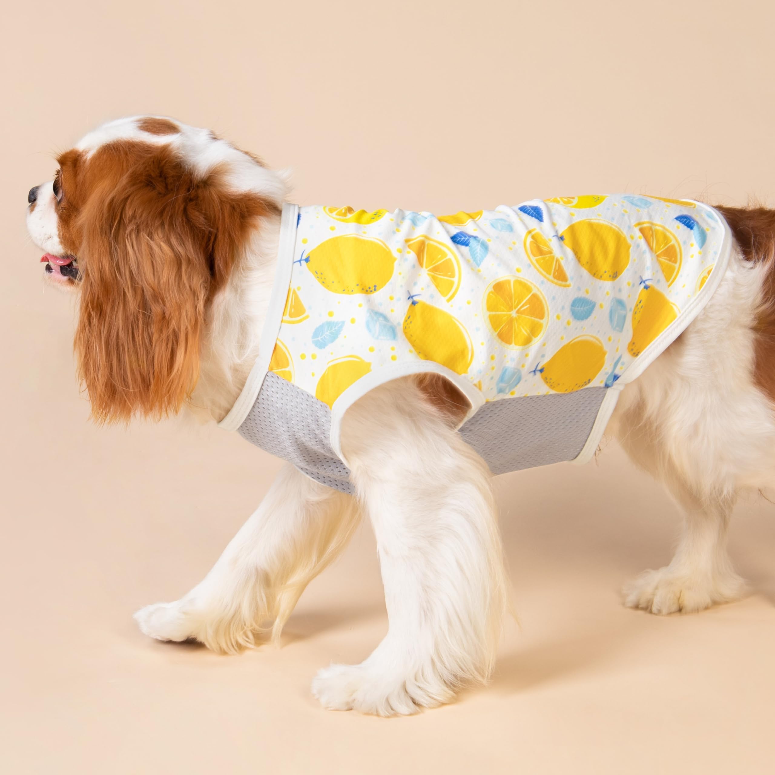 Fitwarm 2 Pack Ice Lemon Upf 50+ Uv Sun Protection Dog Shirt, Lightweight Dog Cooling Vest, Quick Dry Summer Clothes For Small D