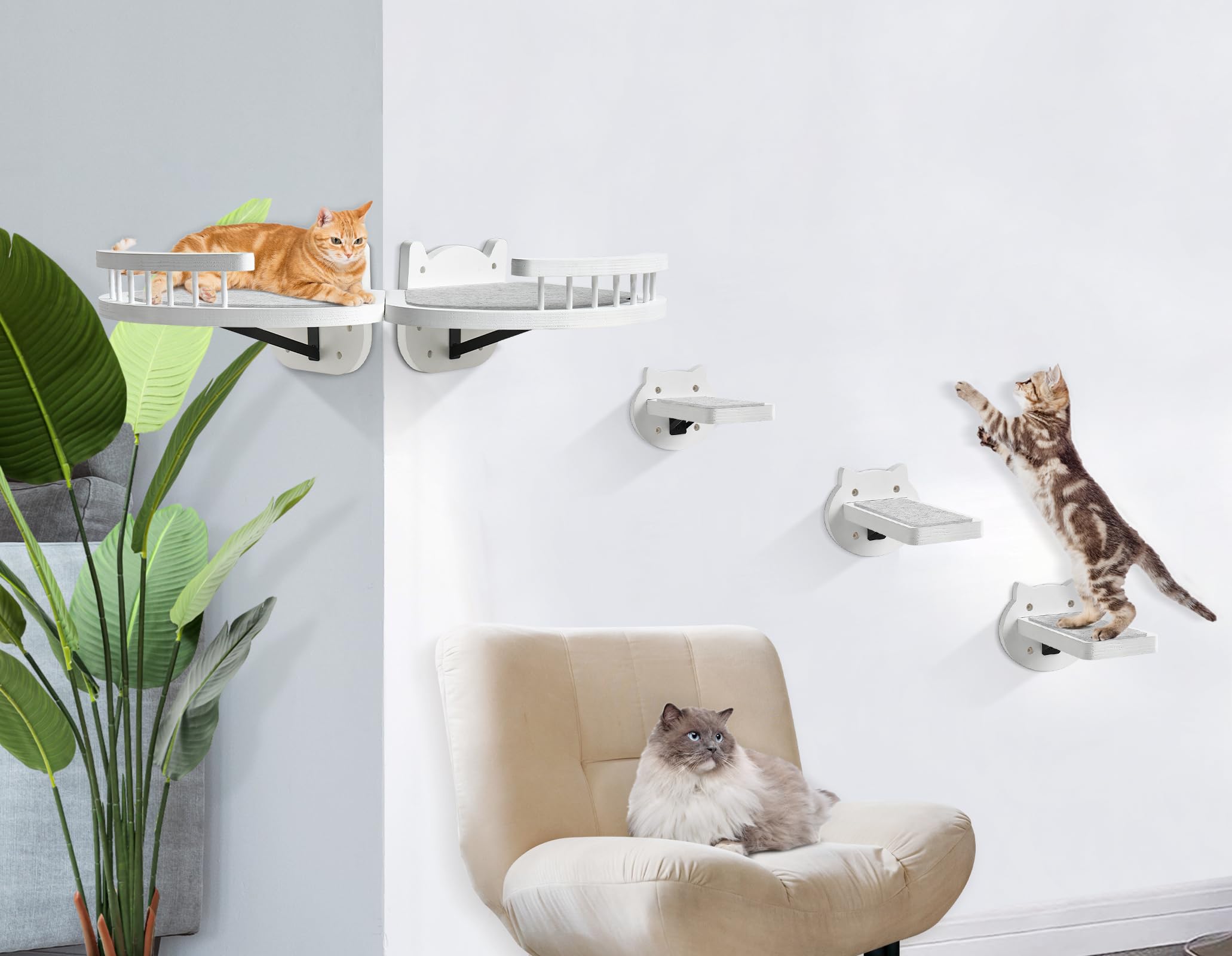 Cat Wall Shelves, Cat Shelves And Perches For Wall, Wood Cat Shelves Wall Mount, Cat Wall Furniture With 3 Cat Wall Steps Cat Sc