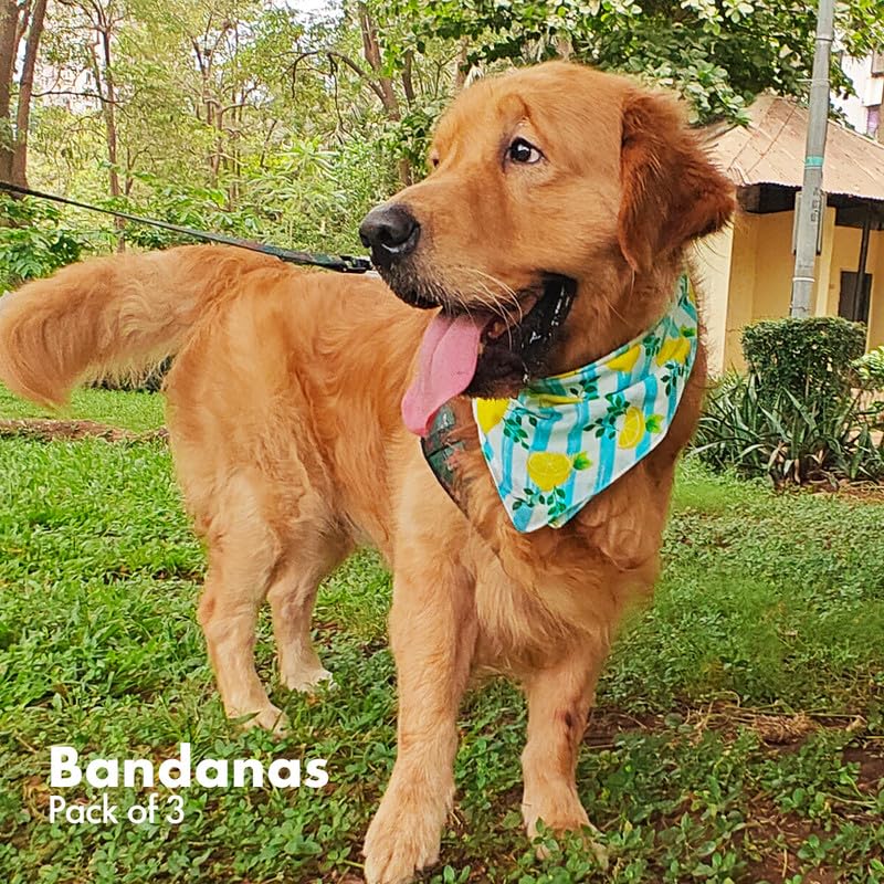 Hexafun 100% Organic Soft Cotton Dog Bandanas| Multicolor & Trendy Printed Bandanas Designs | Soft & Breathable Fabric | Best Fo