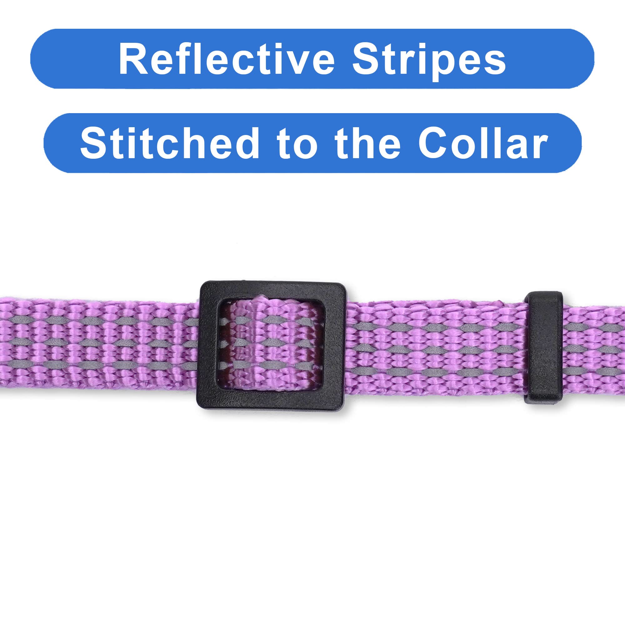 Pawtitas Reflective Cat Collar With Safety Buckle And Removable Bell Cat Collar Kitten Collar Purple Orchid Cat Collar