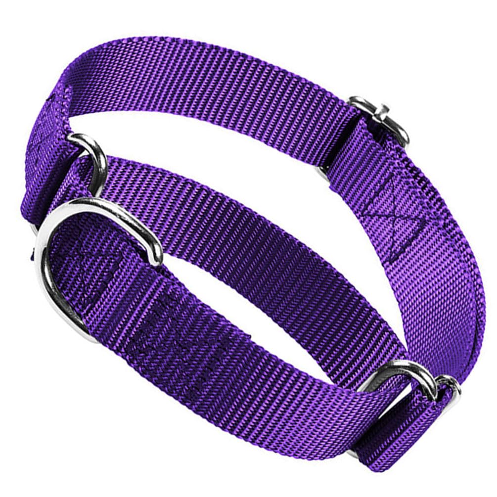 Choker Collar For Dogs, No Pull Martingale Dog Collar Escape Proof Cinch Dog Training Collars Adjustable For Small Medium Large 
