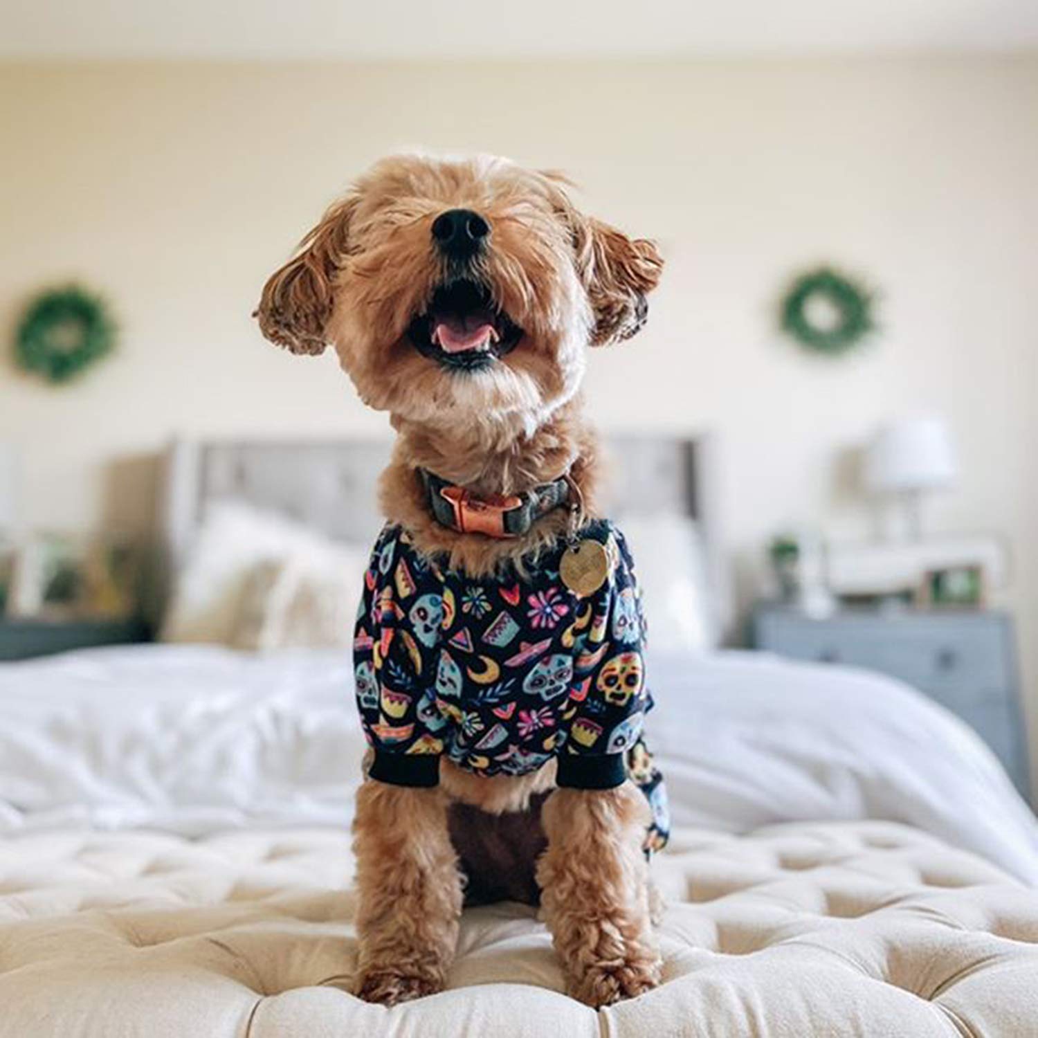 Cutebone Halloween Dog Pajamas Coco Skulls Dog Apparel Dog Jumpsuit Pet Clothes Pajamas P73L