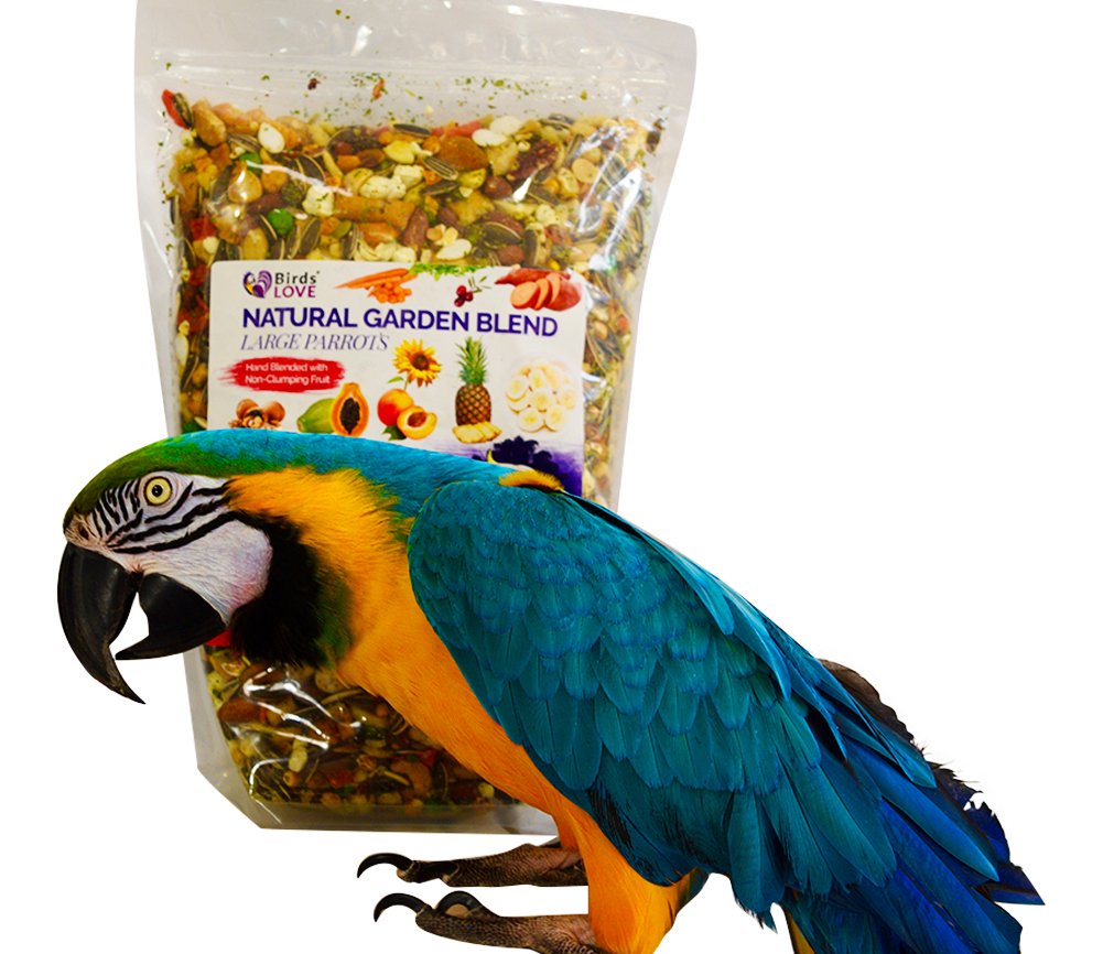 Birds LOVE All Natural Garden Blend Bird Food for Parrots, 2lb - Healthy, Nutritious Mix for Optimal Parrot Health
