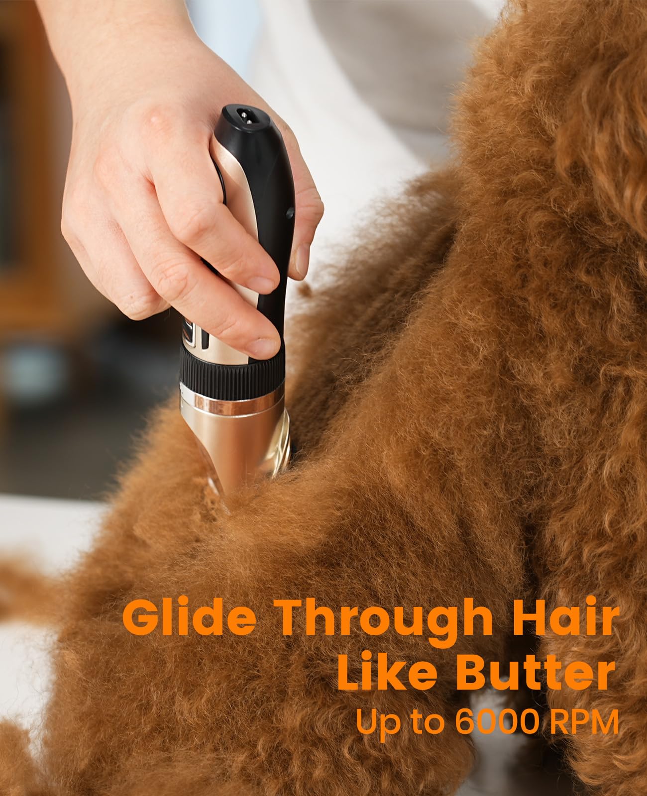 Oneisall Dog Clippers And Paw Trimmer Kit 2 In 1 Low Noise Cordless Dog Clippers For Grooming Pet Hair Trimmers For Small And La