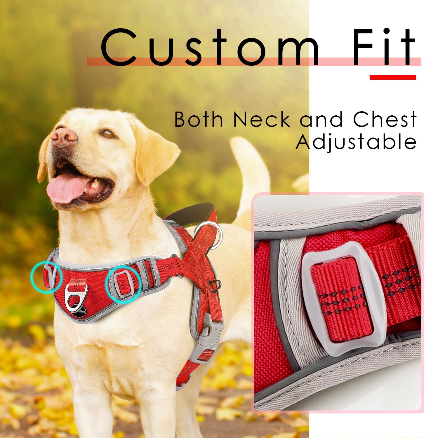 ADVENTUREMORE No Pull Dog Harness, Reflective Vest, Front Clip Handle, Large, Nylon, Rose Red, Model CPHA-0415-QR-L-LR