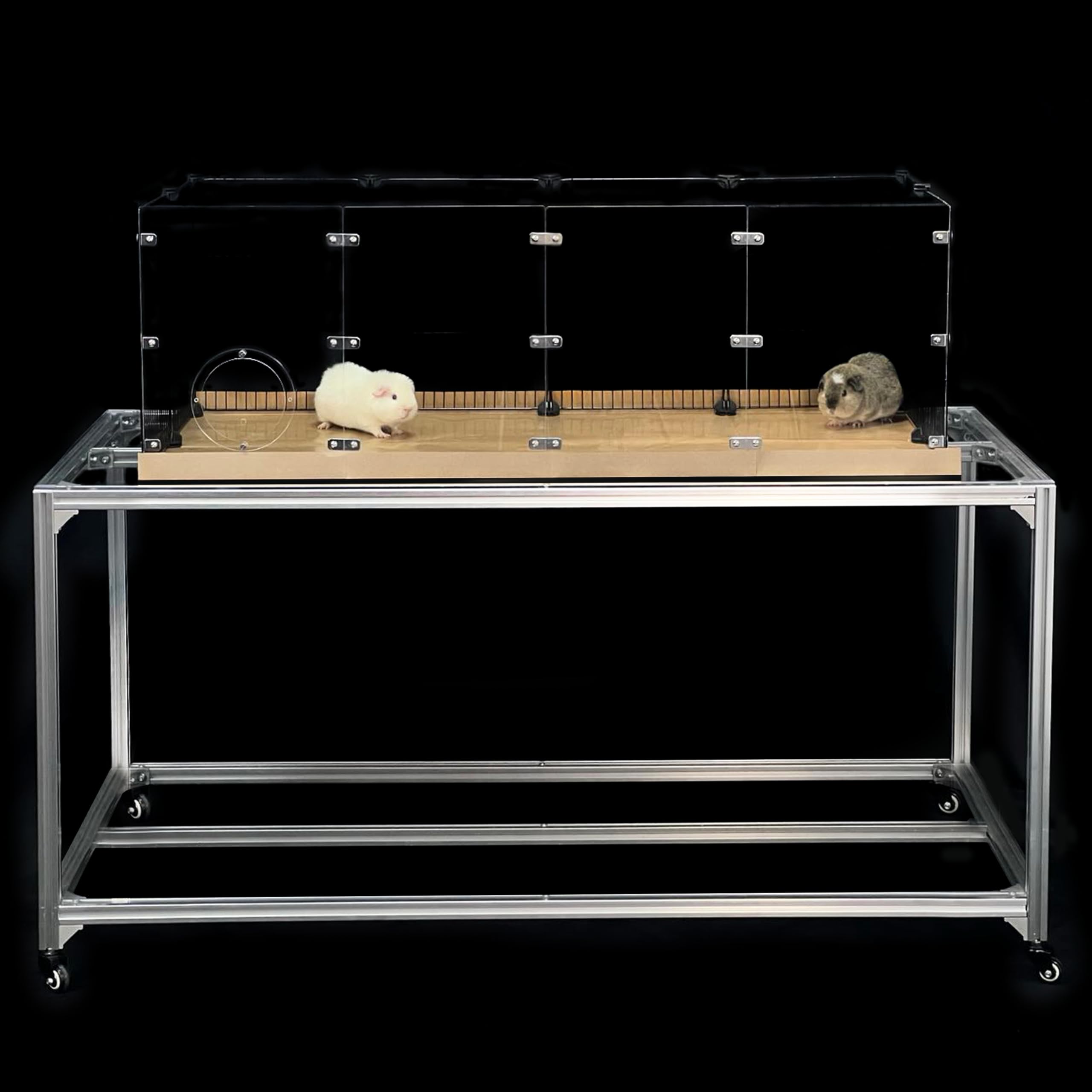 GuineaLoft Acrylic-Front Cage (Model-AB) - Tall & Large 4ft(L) x 2ft(W) x 1.3ft(H) Open Cage for Guinea Pigs, Rabbits, Button Qu