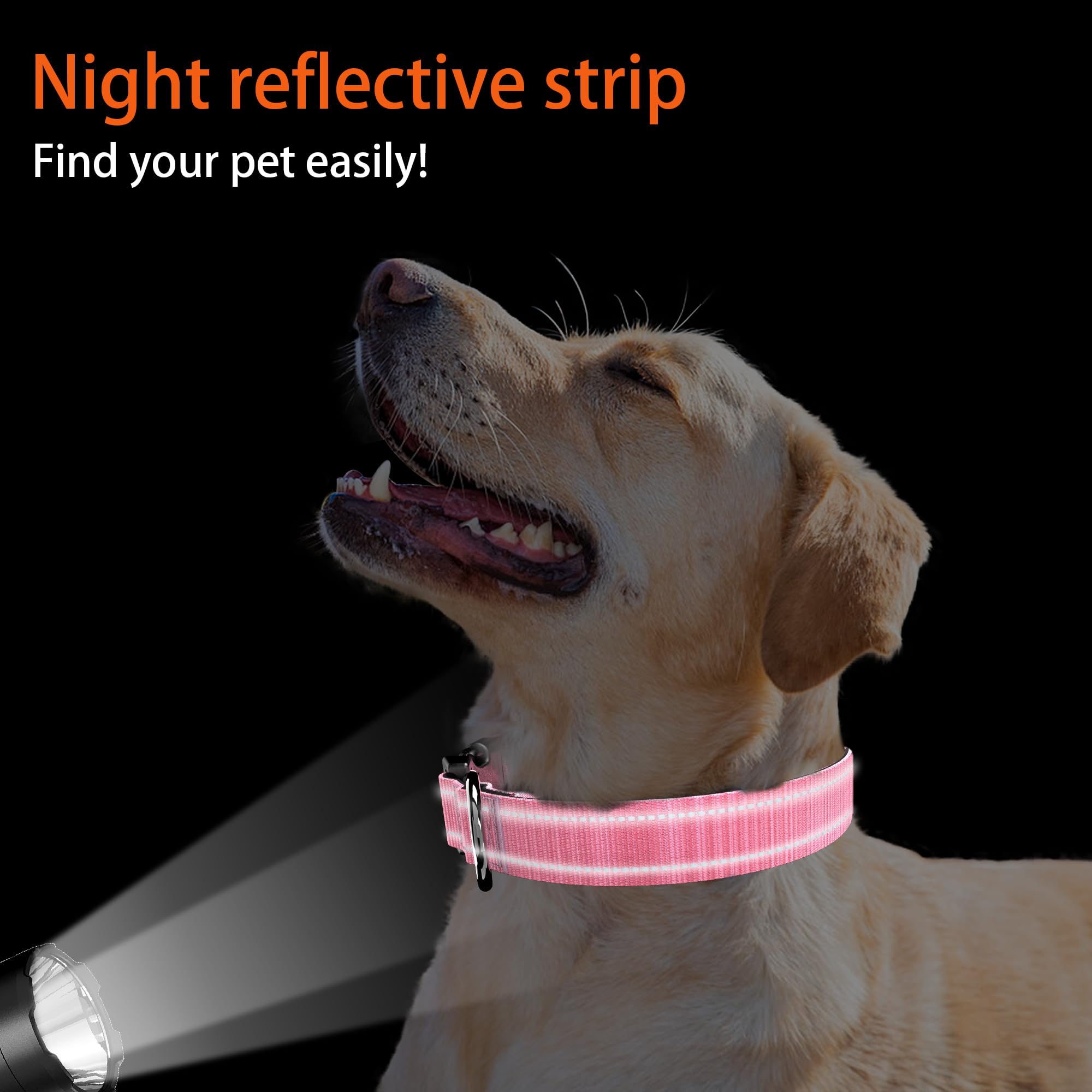 Airtag Dog Collar With QR Code, Reflective, Soft Padded & Safety Locking Buckle - Adjustable for Medium Dogs (M-With Airtag Hold