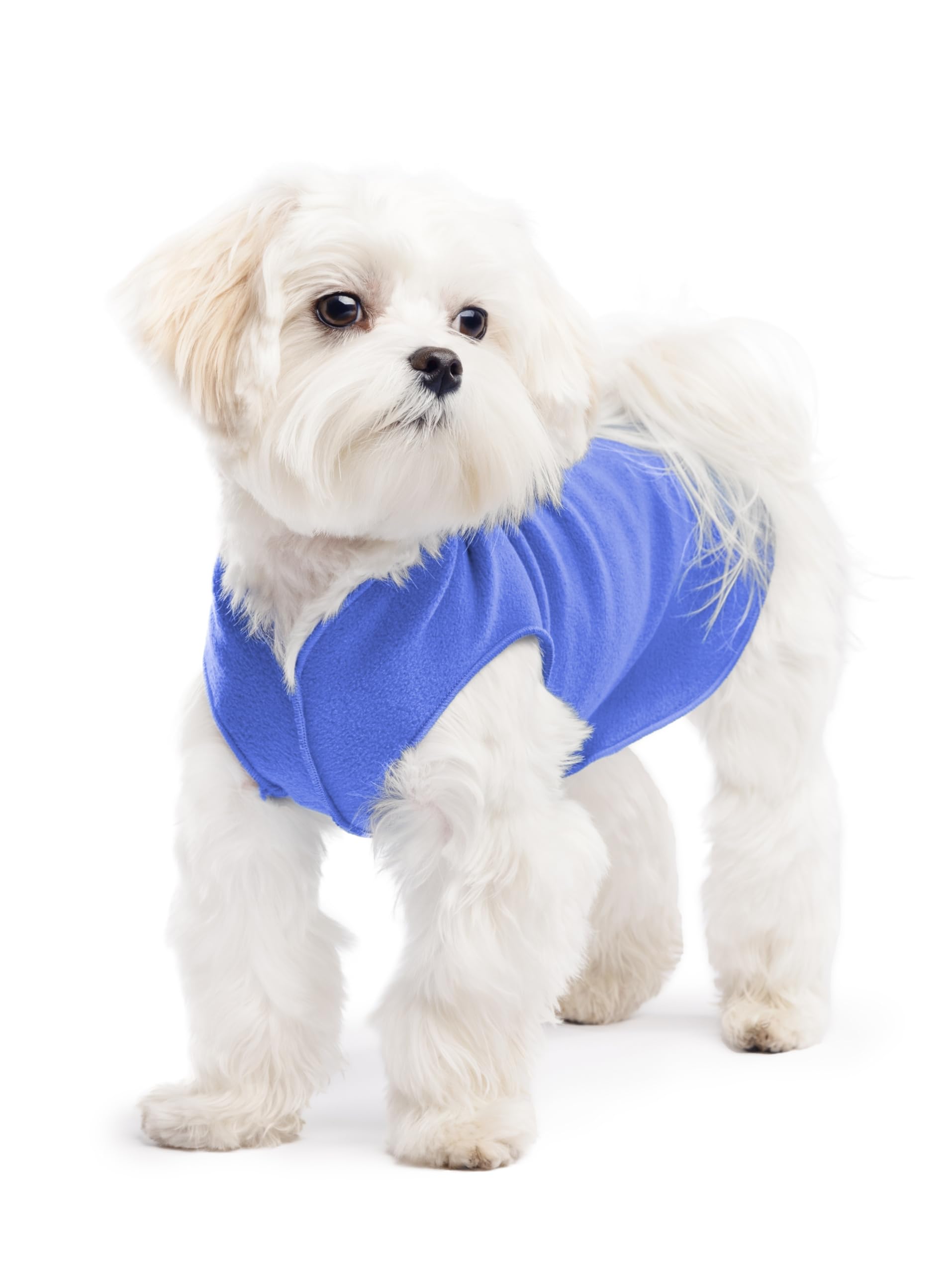 Gold Paw Stretch Fleece Dog Coat, Stretchy Pet Sweater, Machine Washable Pullover For Winter And Fall, Cornflower Blue, 8