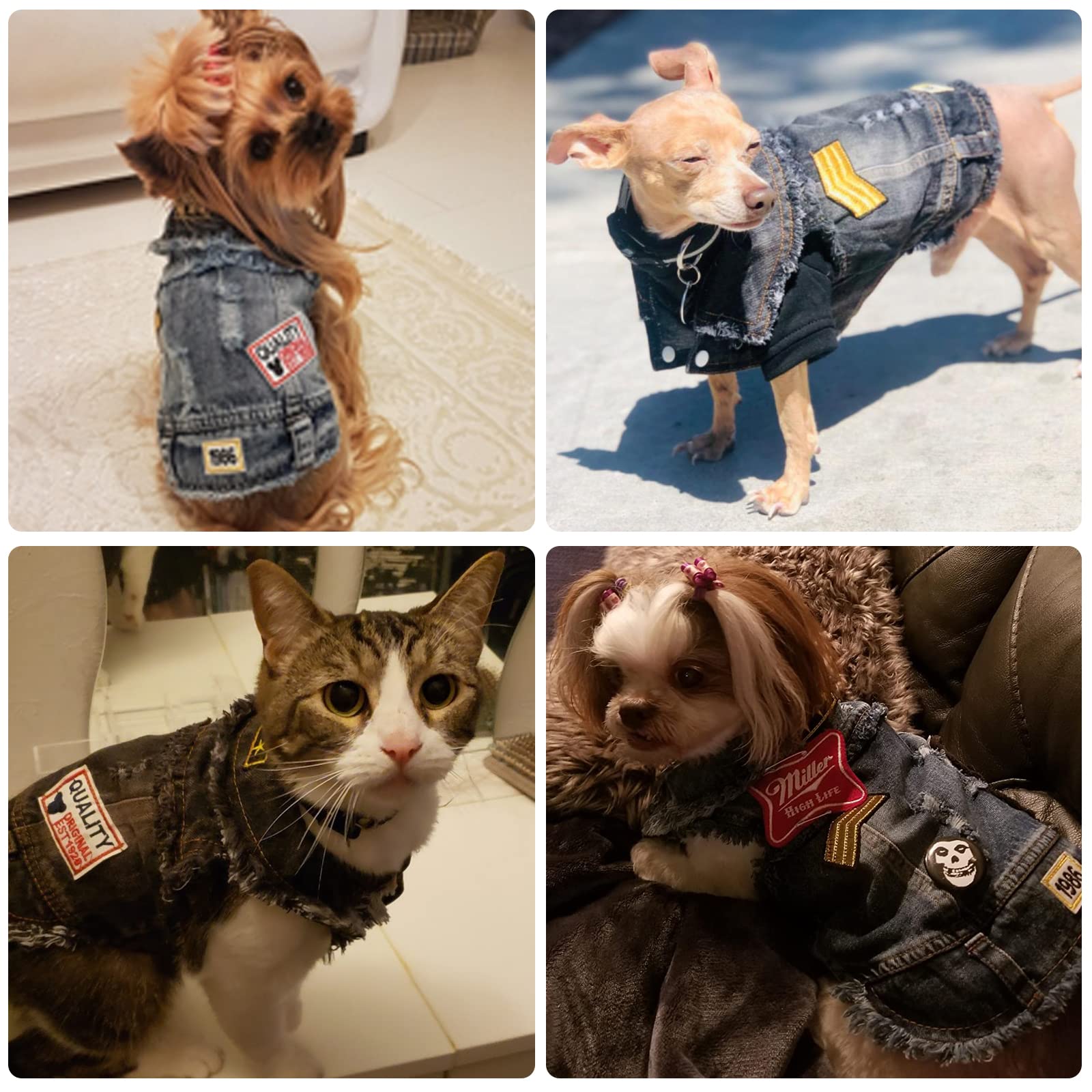 Doggyzstyle Pet Vests Dog Denim Jacket Hoodies Puppy Jacket For Small Medium Dogs (Xs, Black Print)