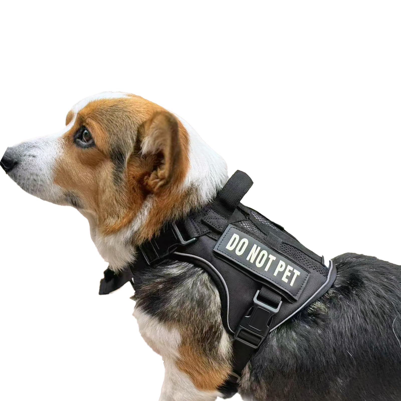 Dnallrino Tactical Dog Harness For Small And Medium Breeds, Air Dog Vest No Pull With Reflective Do Not Pet Patches, Breathable 