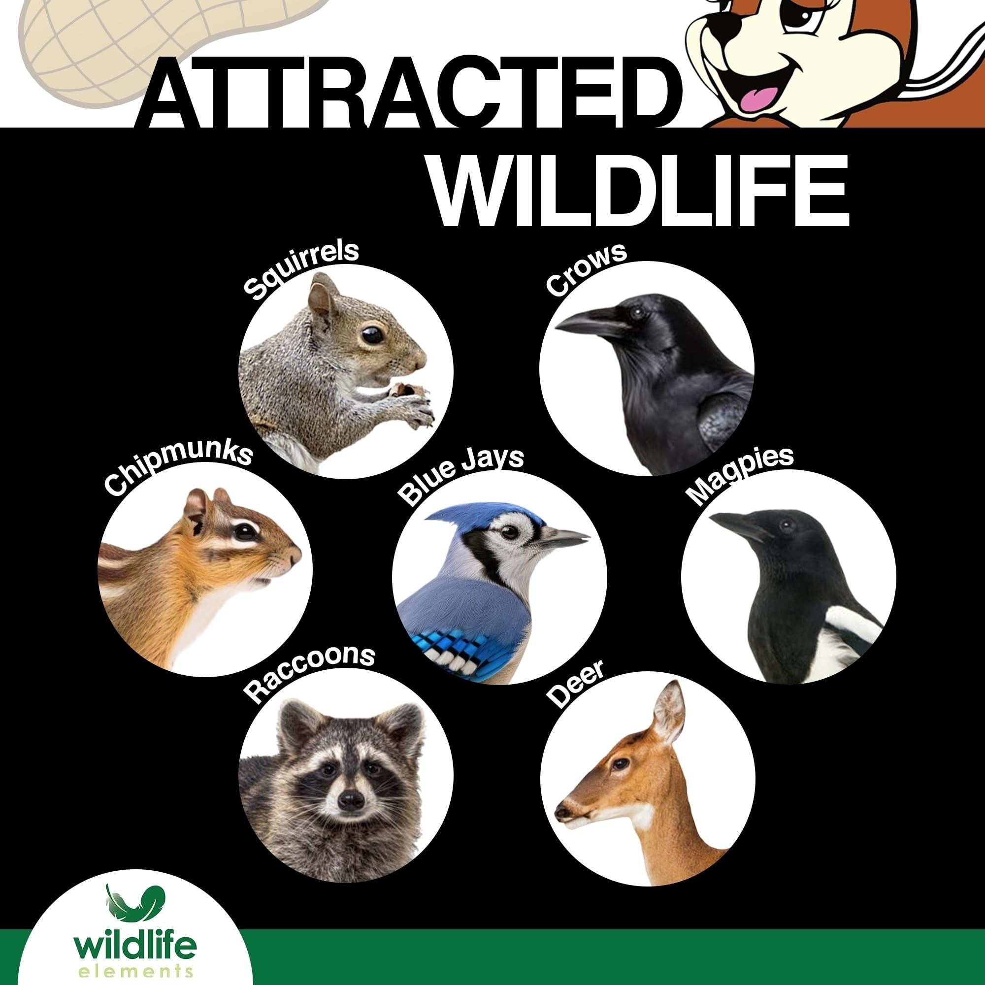 Wildlife Elements Peanut Party Unprocessed, Raw in-Shell Peanuts Wildlife Animal Food,10lb - Rich in Protein, Healthy Fats, and