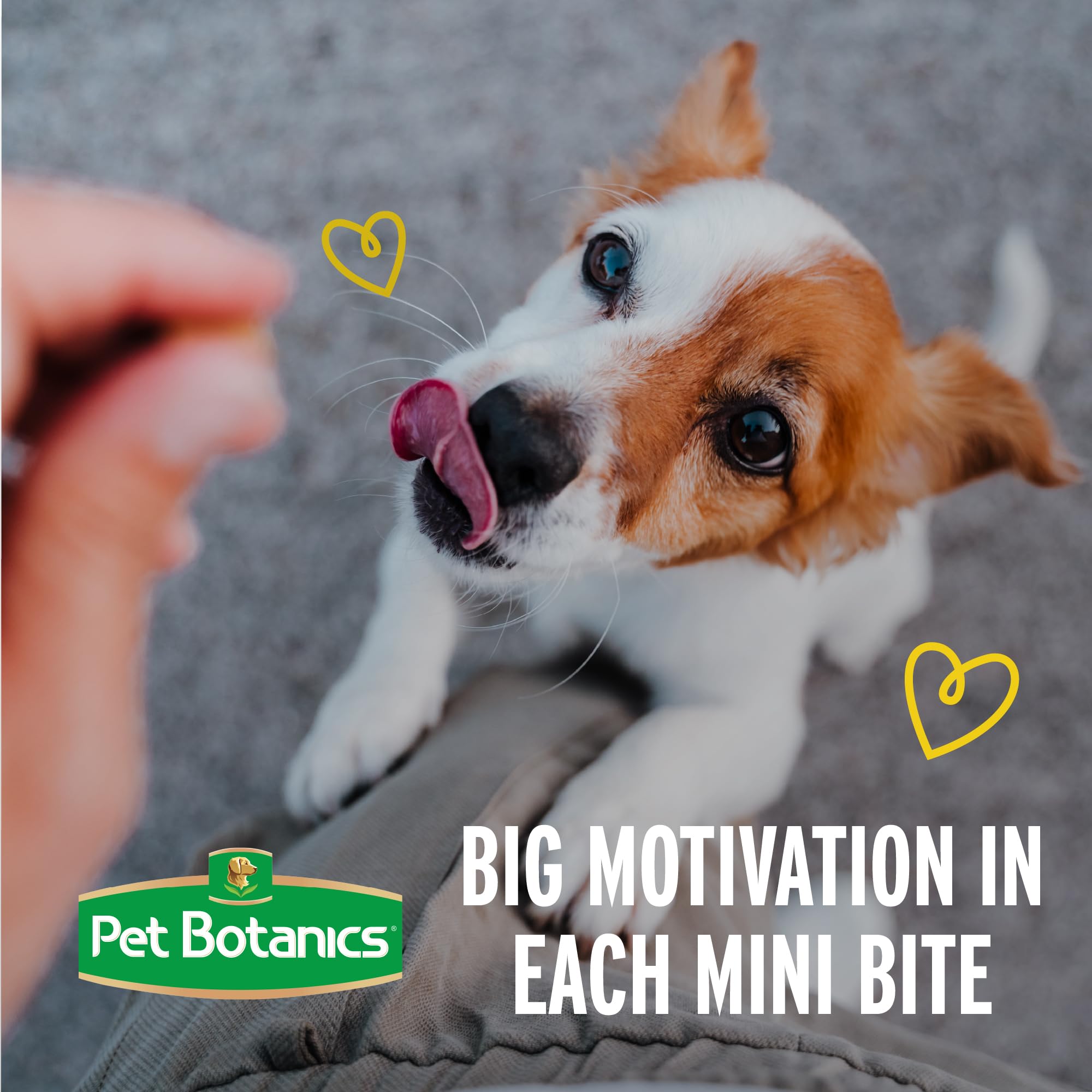 Pet Botanics 4 oz. Pouch Training Reward Mini Soft & Chewy, Duck and Bacon Flavor, with 200 Treats Per Bag, The Choice of Top Tr