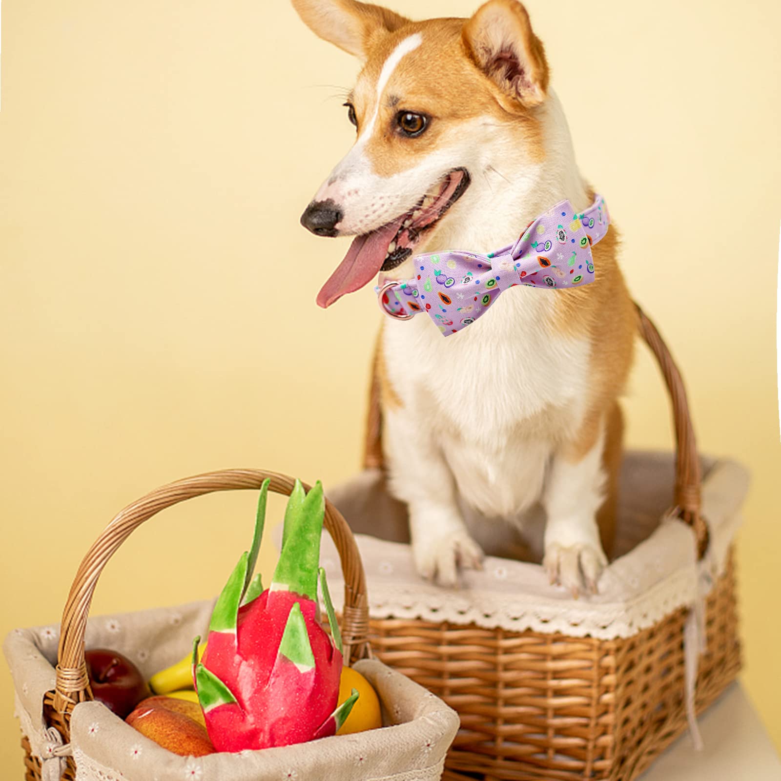 Lionheart Glory Dog Collar, Fruit Dog Collar With Bow, Summer Dog Bowtie Collar Gift Bows Cute Pet Collar For X-Large Dogs