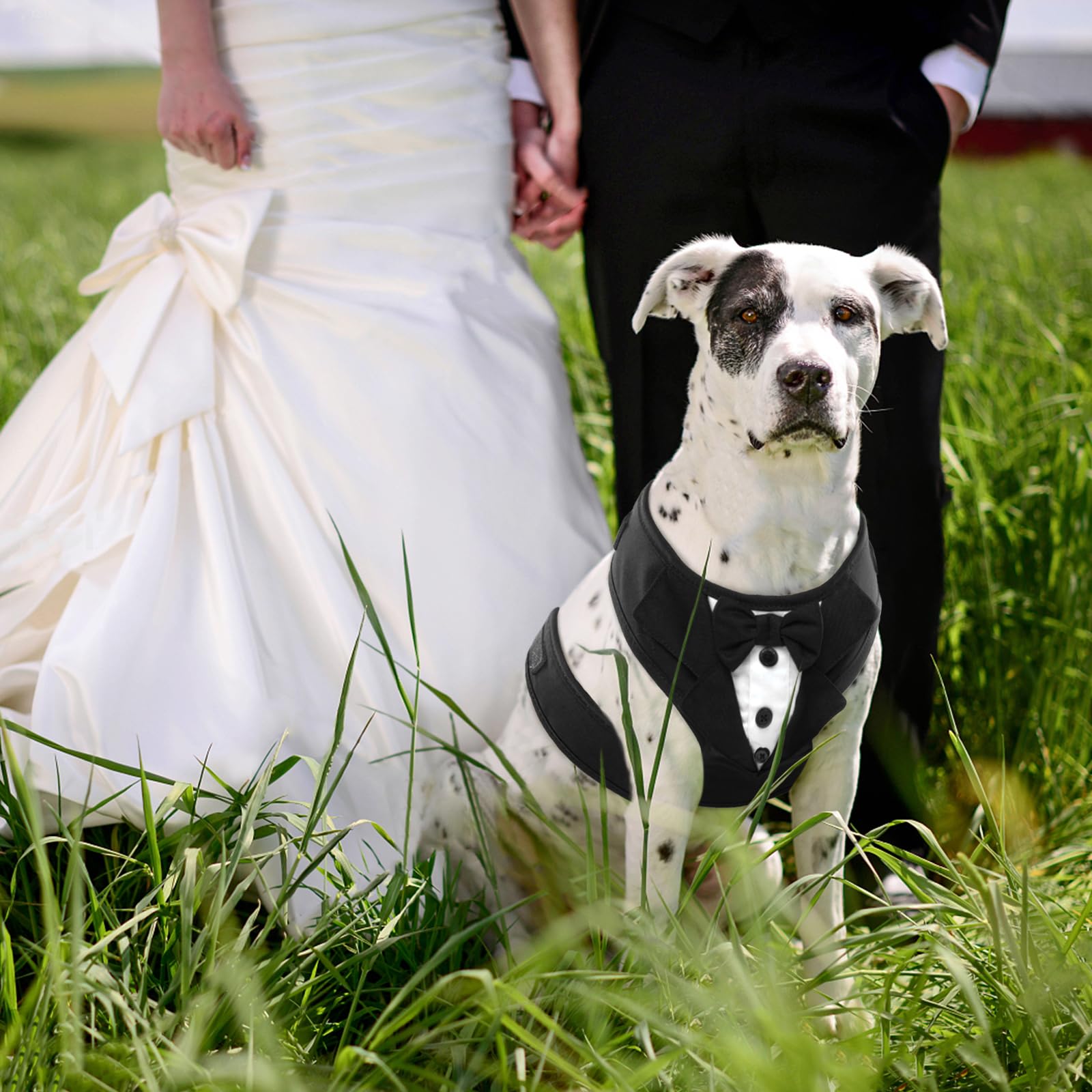 Kuoser Dog Tuxedo Harness, Adjustable No Pull For Small Medium Dogs, Dog Wedding Suit With Bow Tie Party Costume