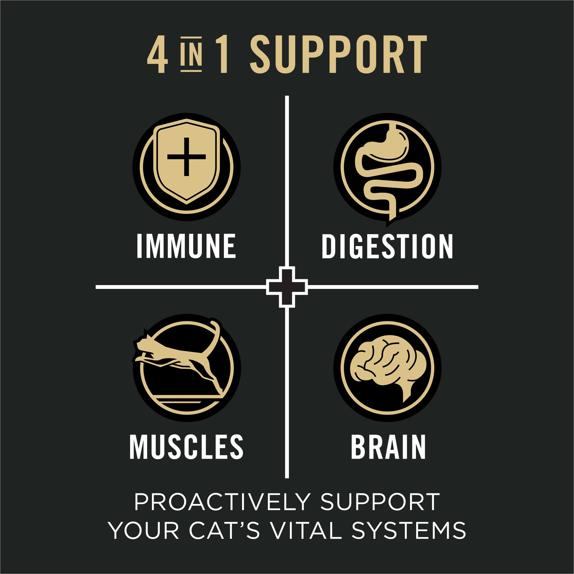 Purina Pro Plan Vital Systems 4-in-1 Chicken & Egg Dry Cat Food, 5 lb Bag