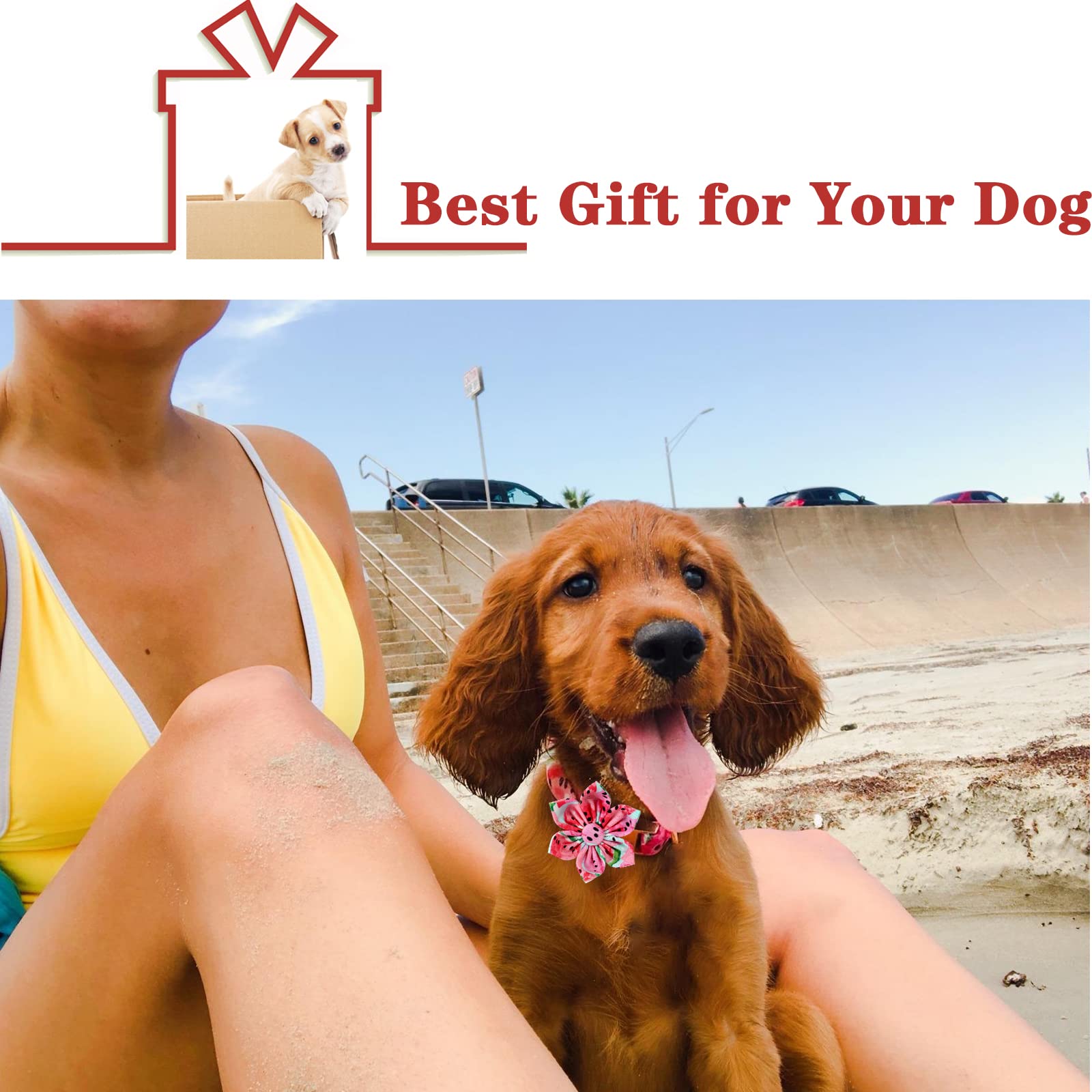 Unique Style Paws Dog Collar With Flower Tie Cotton Watermelon Collar Adjustable Summer Collar For Small Medium Large Dogs - M
