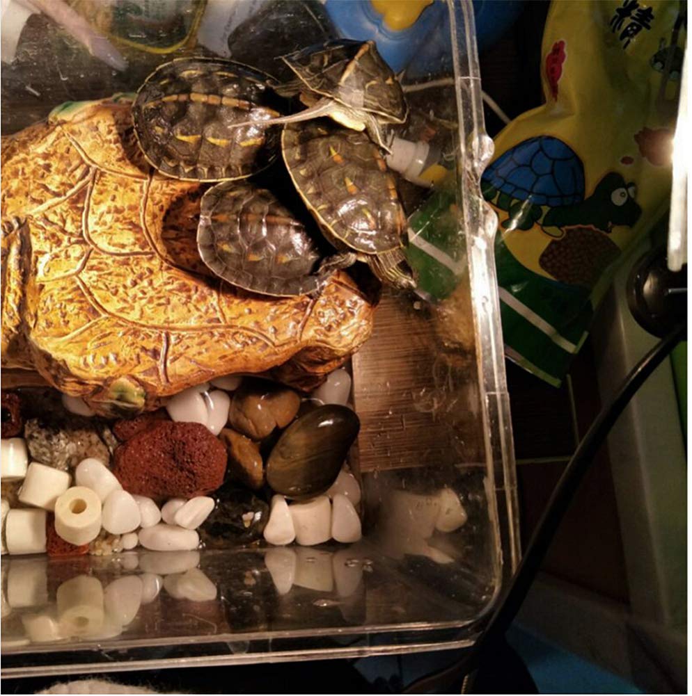 4-Pack Uva Uvb Reptile Heat Lamp Bulb, E26/E27 75 Watt Reptile Heat Bulb Full Spectrum Sun Light Lamp For Bearde Dragon, Turtle, Lizard, Gecko & More