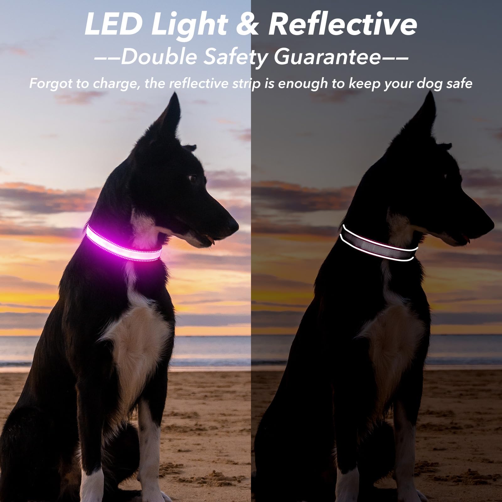 Visinite Light Up Dog Collars, Lighted Dog Collars Rechargeable Waterproof, Dog Glow Collar for Pet Safety Dog Lights Night Walk