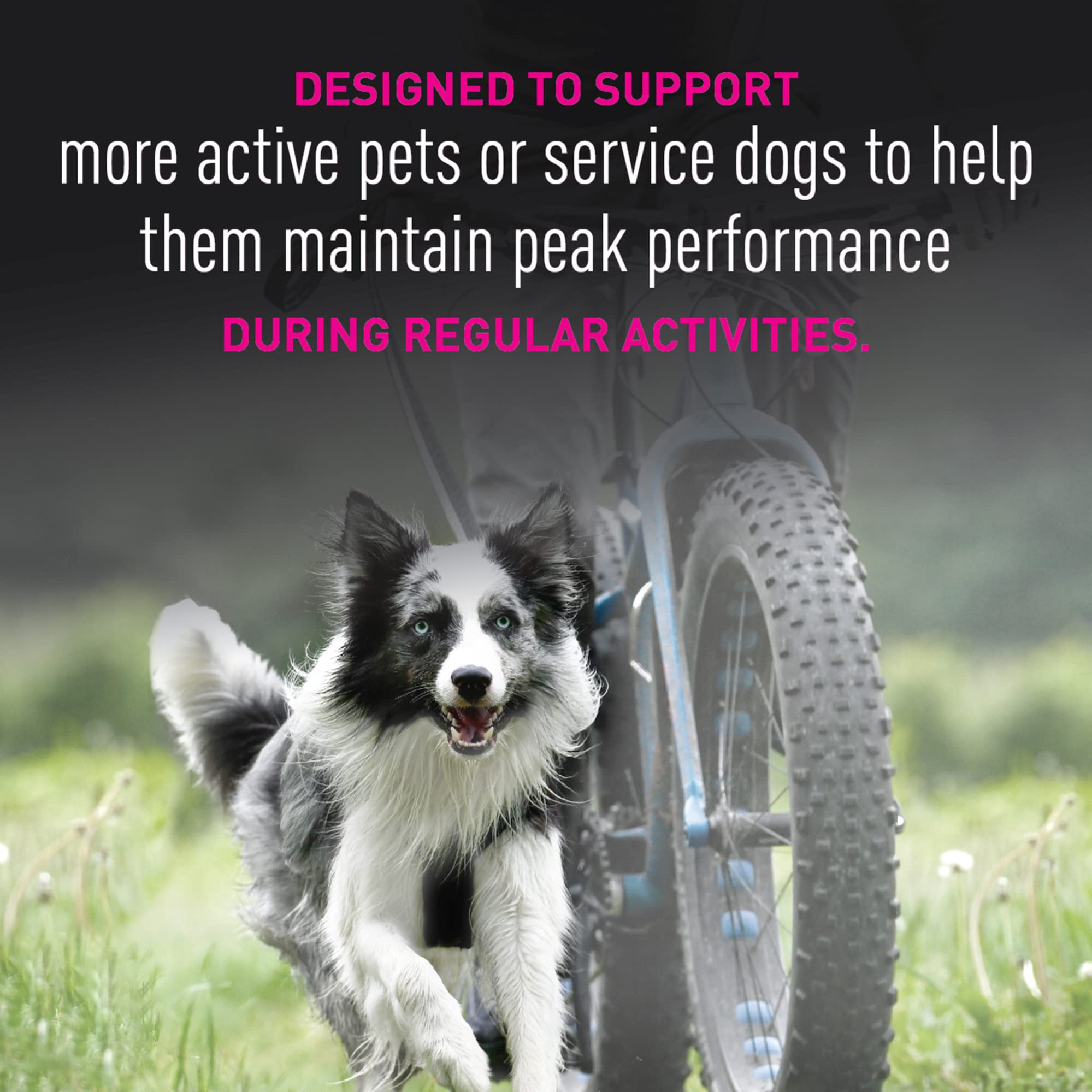 EUKANUBA Premium Performance 26/16 Exercise Dry Dog Food, 40 lb