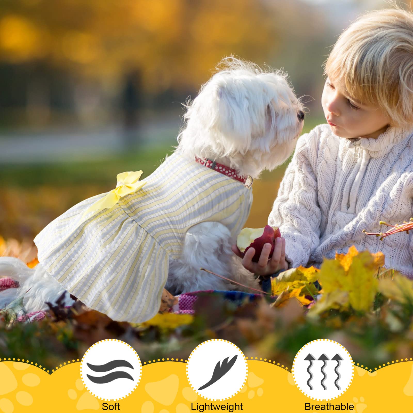 Sanwuta 8 Pieces Dog Bowknot Dresses Puppy Clothes Outfits Princess Dresses Soft Lightweight Summer Fruit Floral Pattern Pet Ski