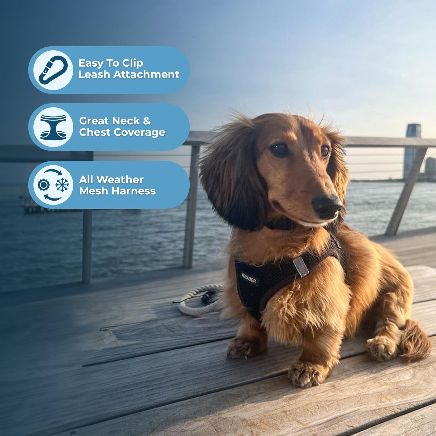 Voyager Step-In Air Dog Harness - All Weather Mesh, Reflective, No Pull Harness For Small, Medium Dogs, Cats - Secure With Hook & Loop Fastener, Buckle, Double D-Rings - Black/Black Trim, Xs