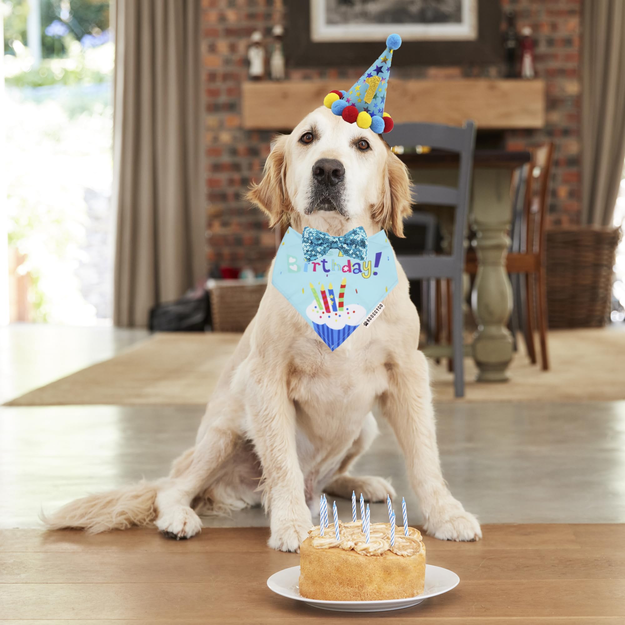 Adoggygo Dog Birthday Bandana Scarf And Blue Boy Pet Birthday Party Hat With Cute Bow Tie For Extra Large Dog Pet (X-Large)