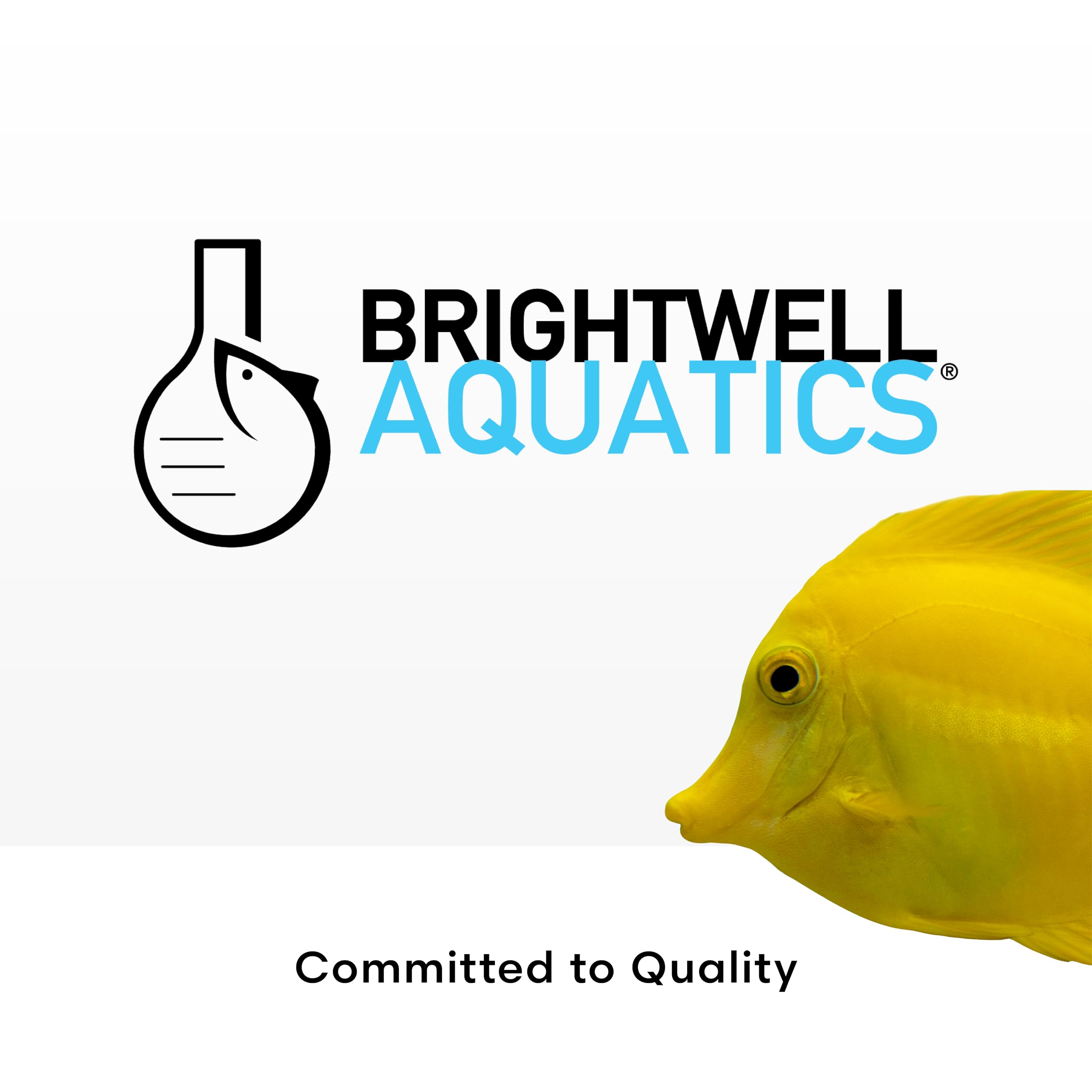 Brightwell Aquatics Razor Freshwater Systemic Aquarium Cleaner for Freshwater & Brackish Aquariums, 2L
